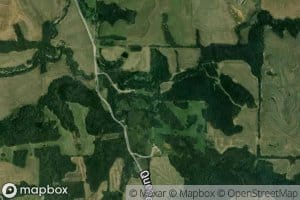 Thorp Branch