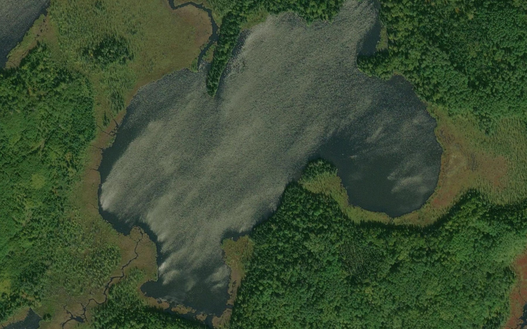 Satellite map of the May Lake