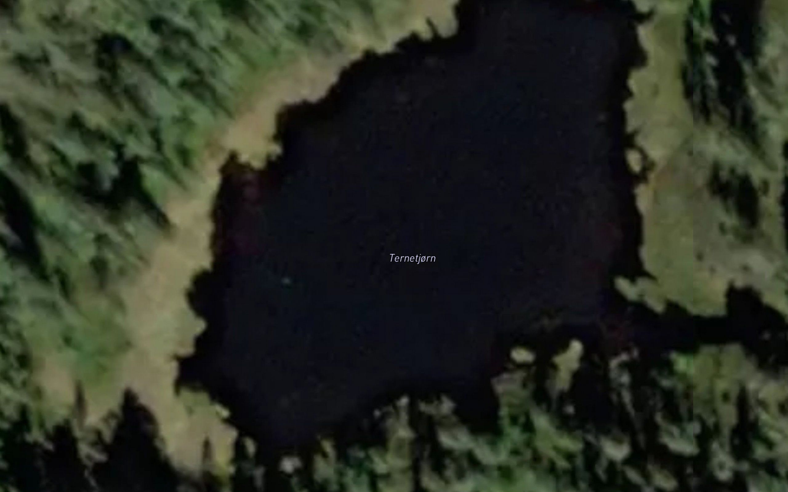 Ternetjorn