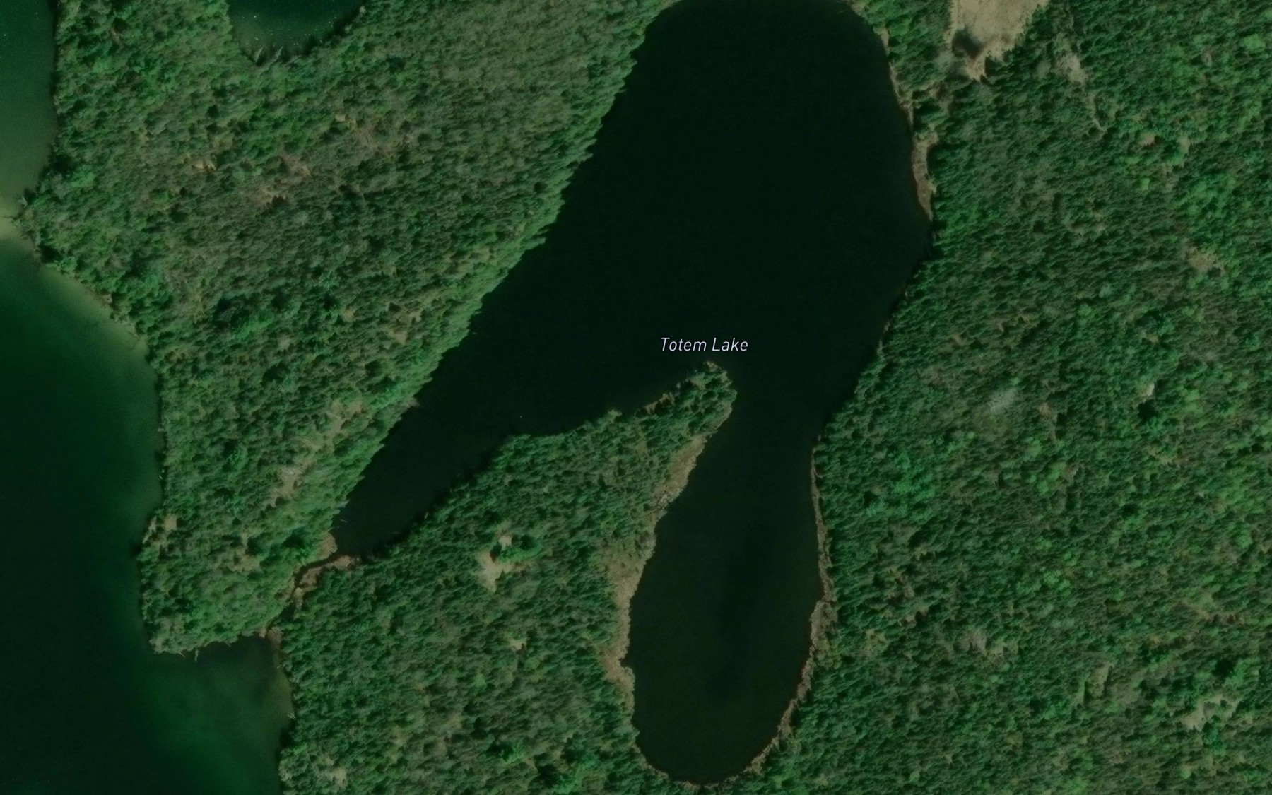 Satellite map of the Totem Lake