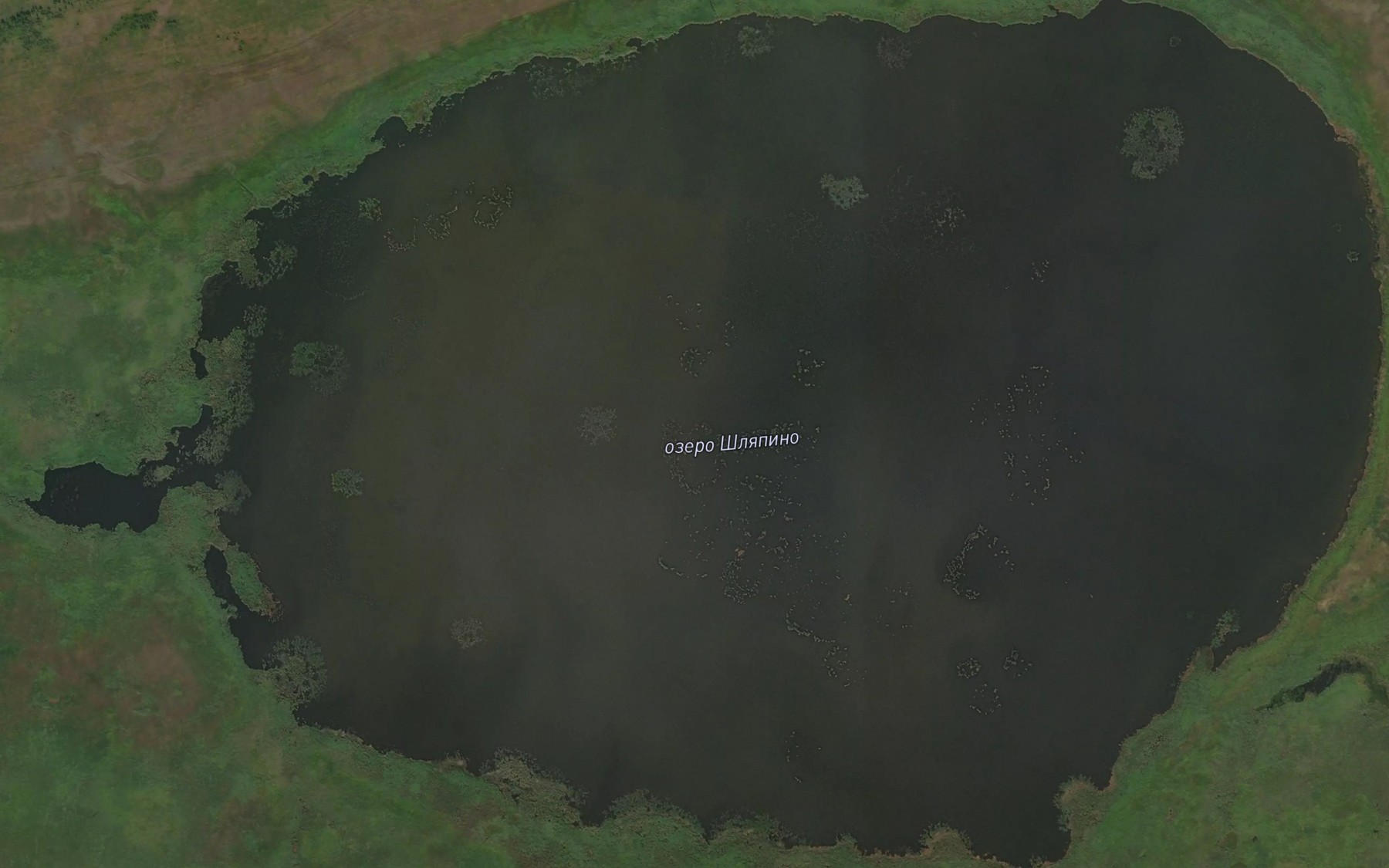 Satellite map of the Ozero Shlyapino