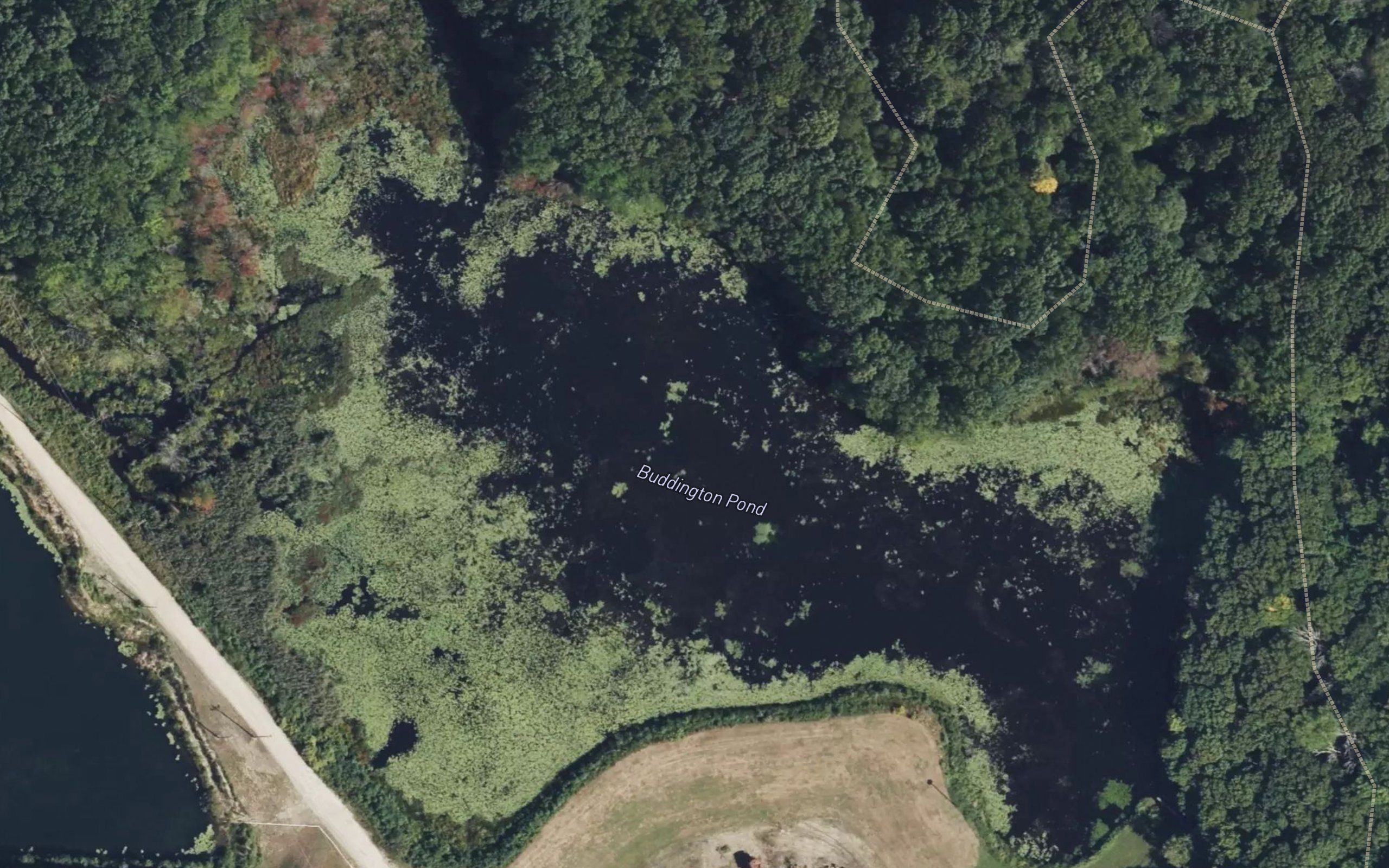 Buddington Pond