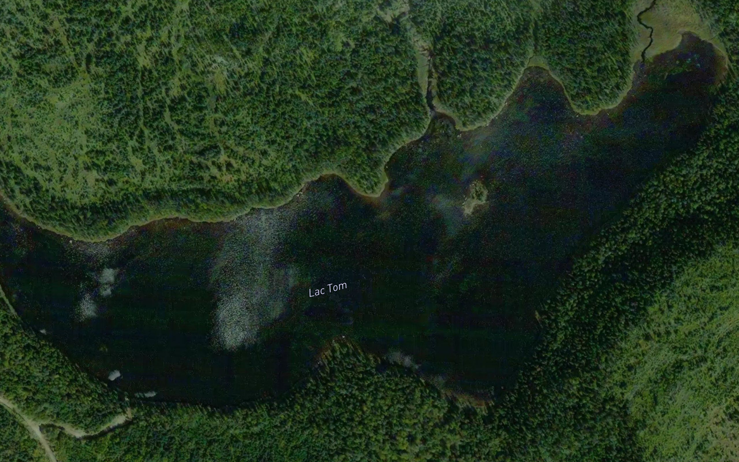 Lac Tom