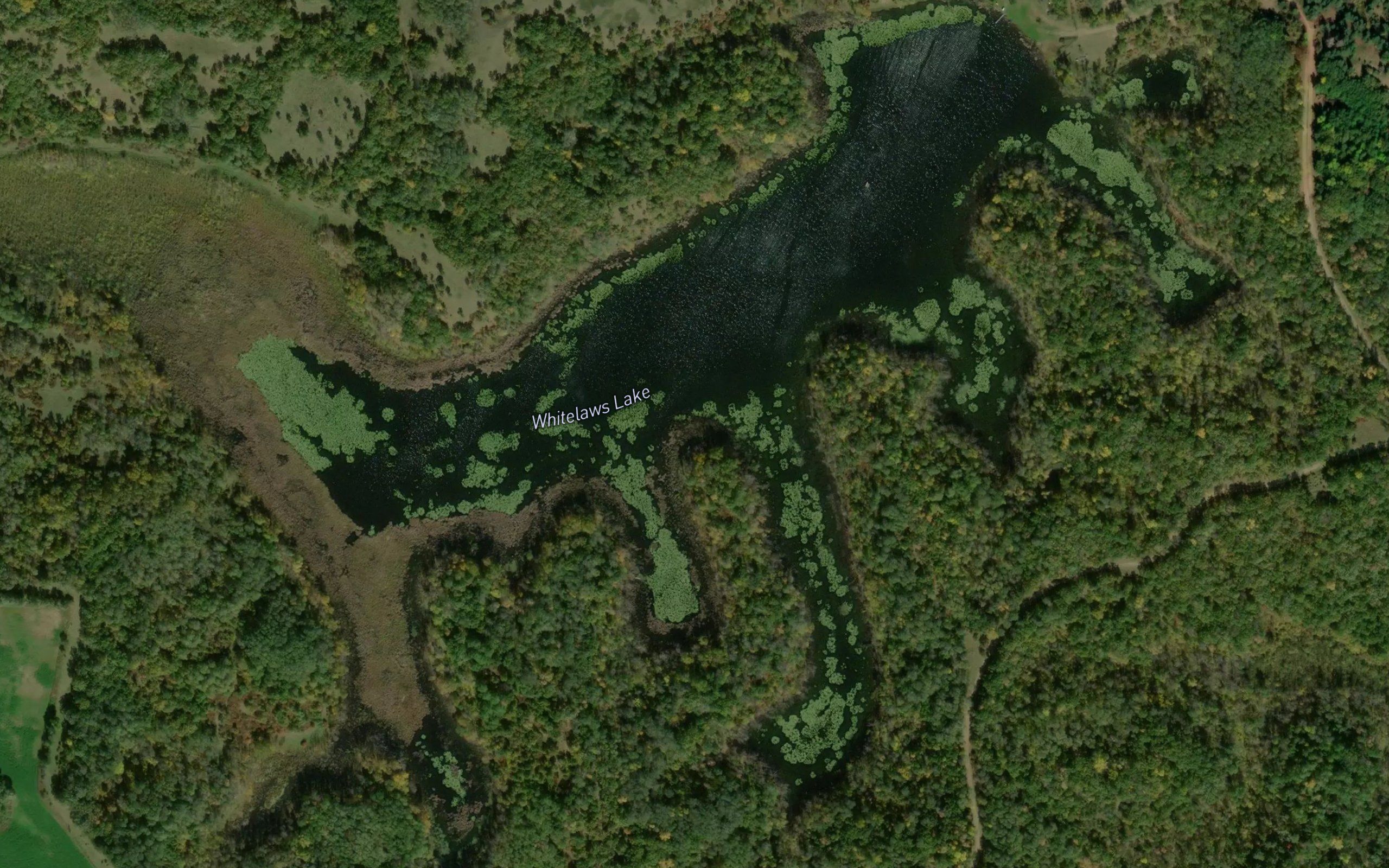 Whitelaws Lake