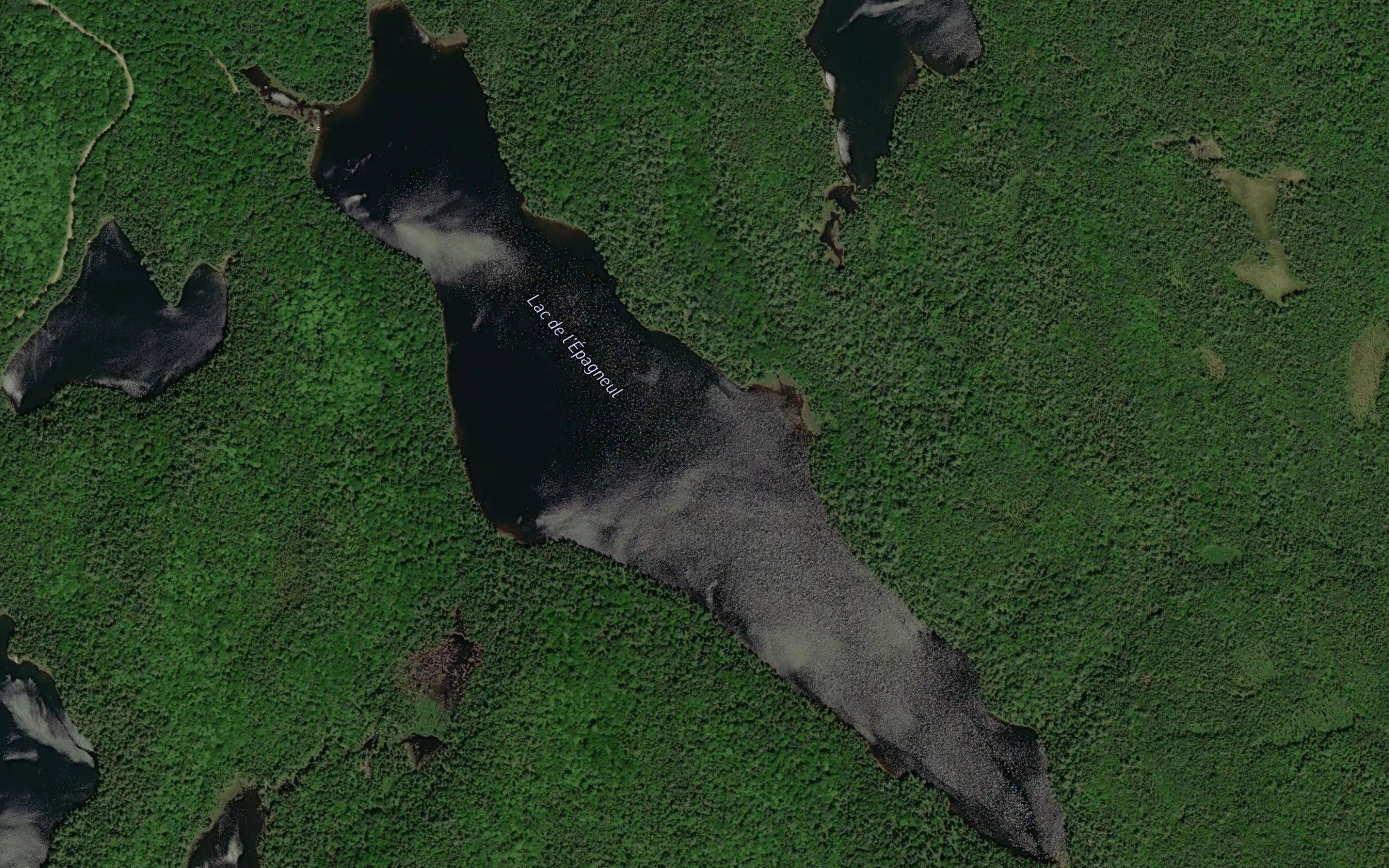 Lac Renard