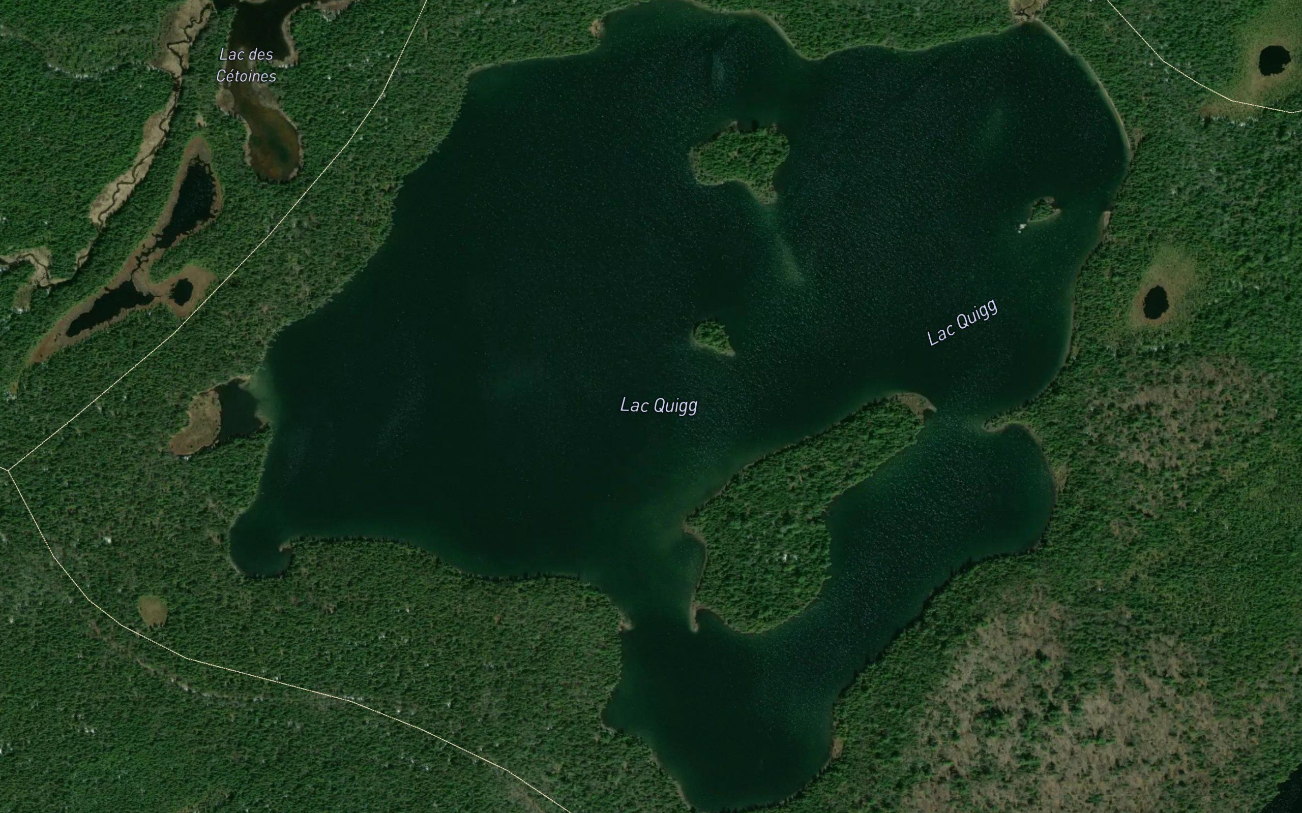 Lac Quigg