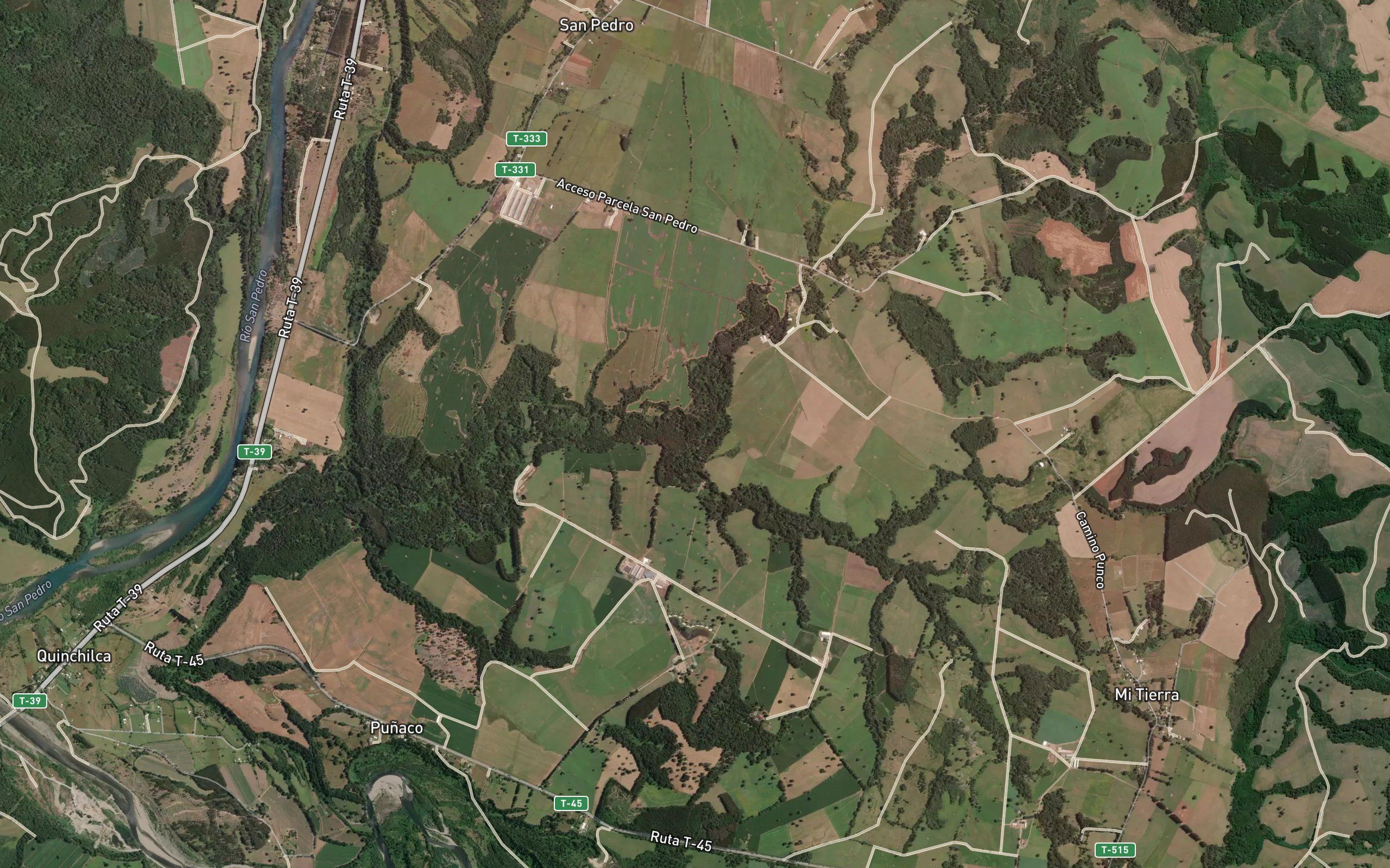 Estero Punco