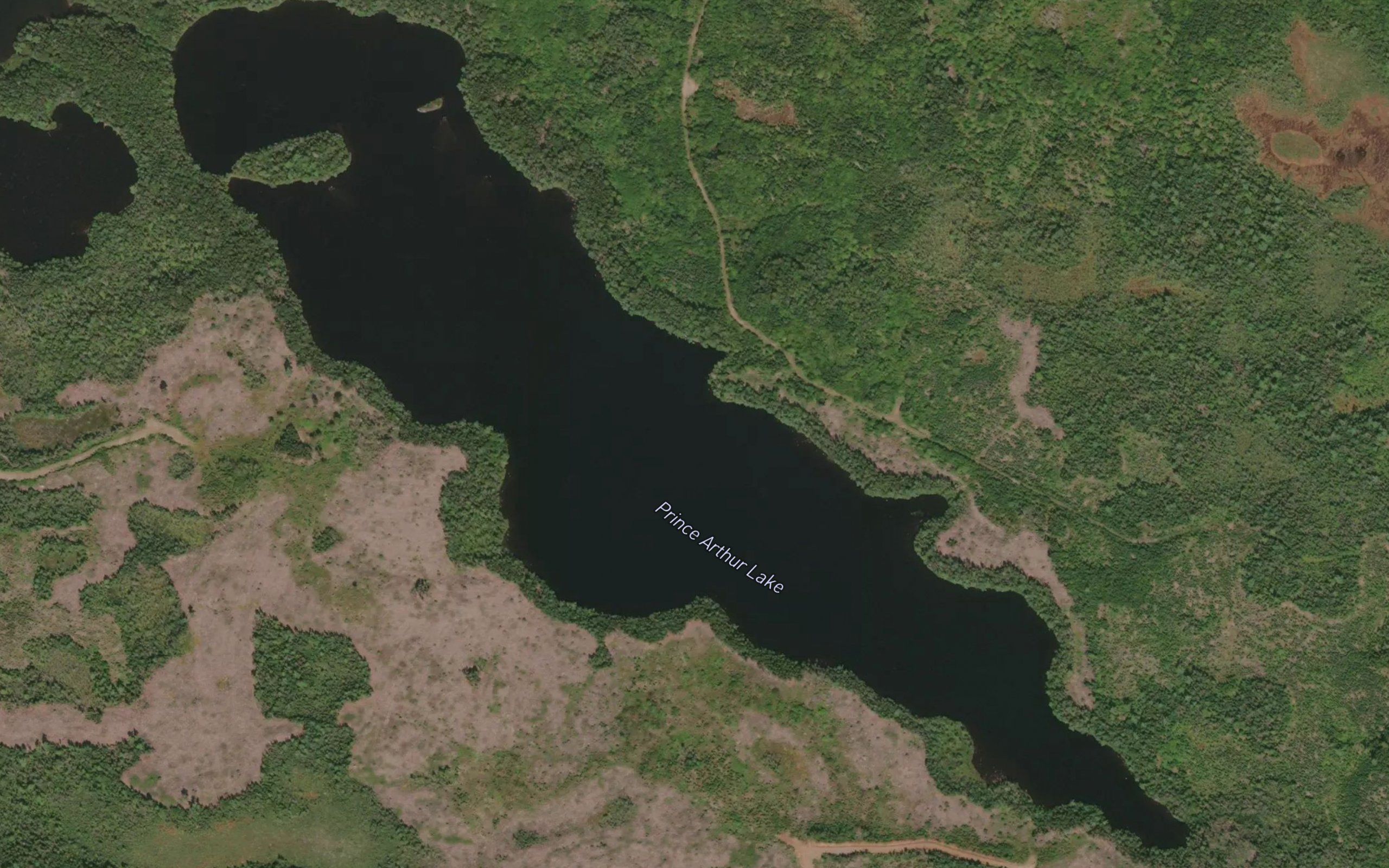 Prince Arthur Lake