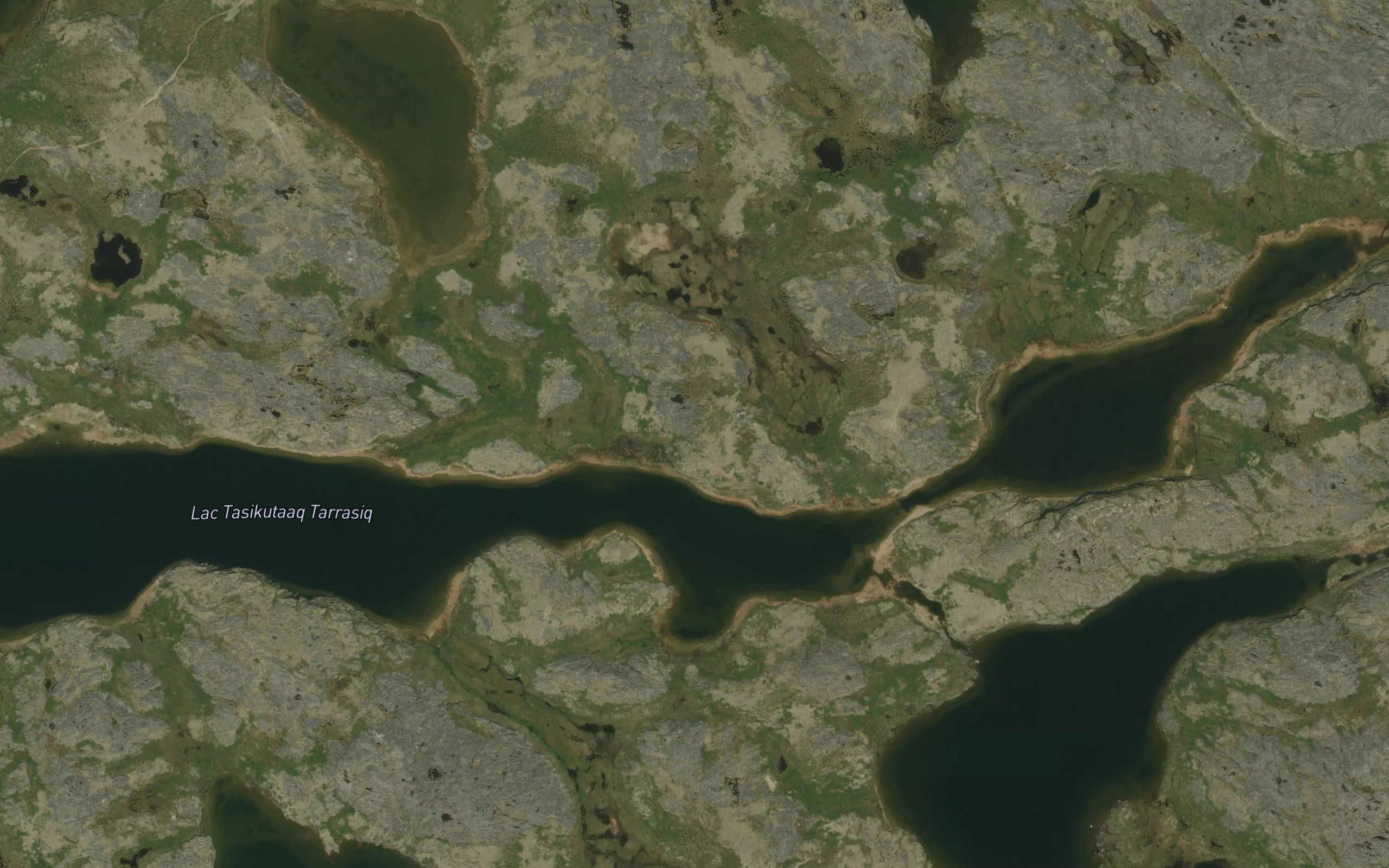 Lac Tasikutaaq Tarrasiq
