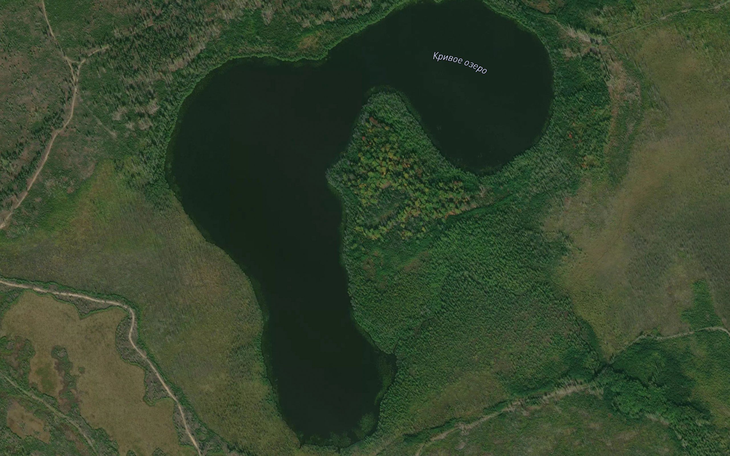 Ozero Krivoye