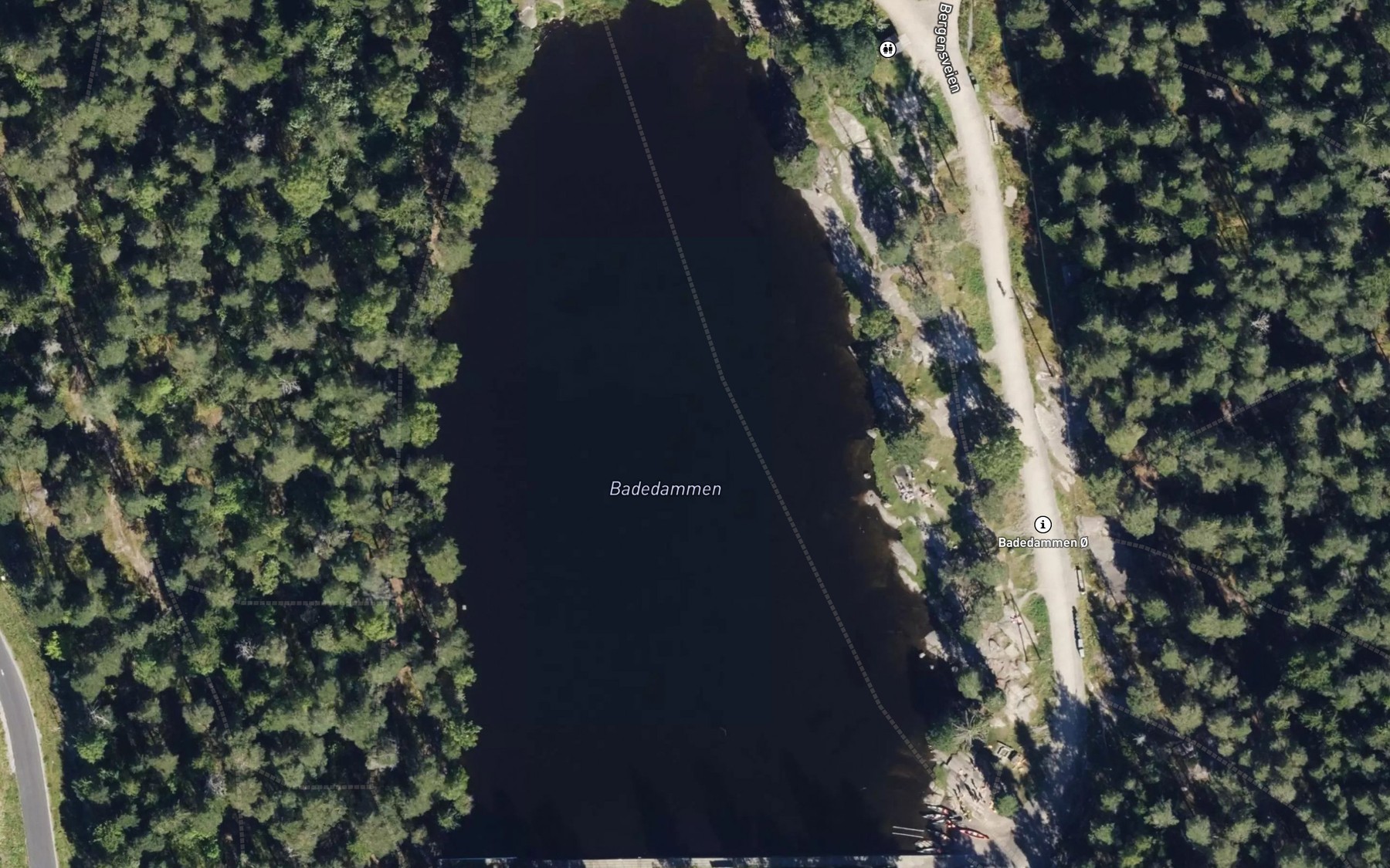 Satellite map of the Badedammen