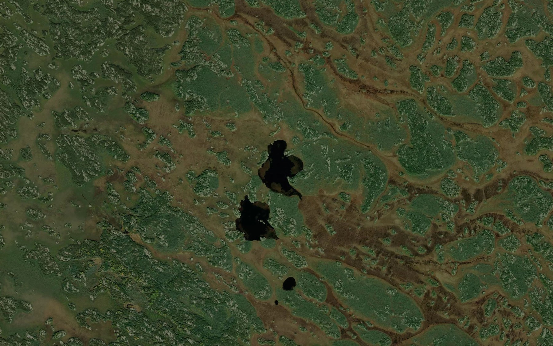 Satellite map of the Owen Lake