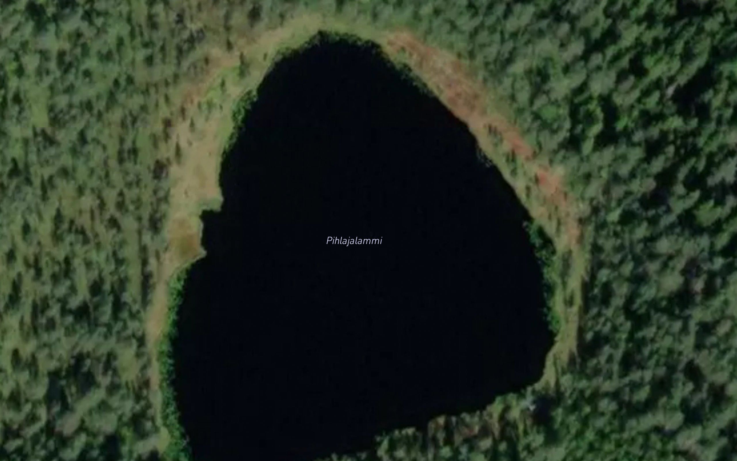 Pihlajalammi