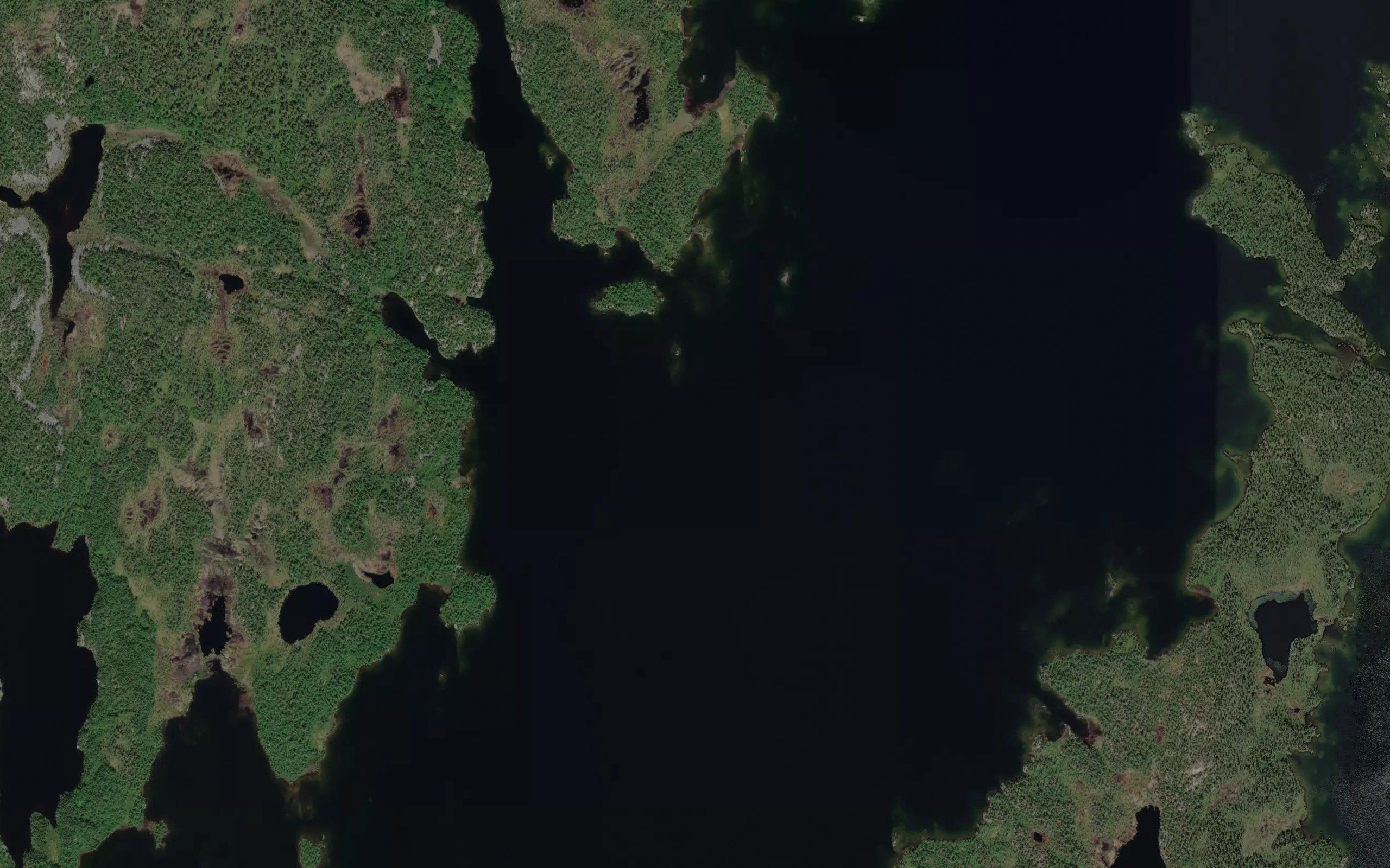 Koskivuono