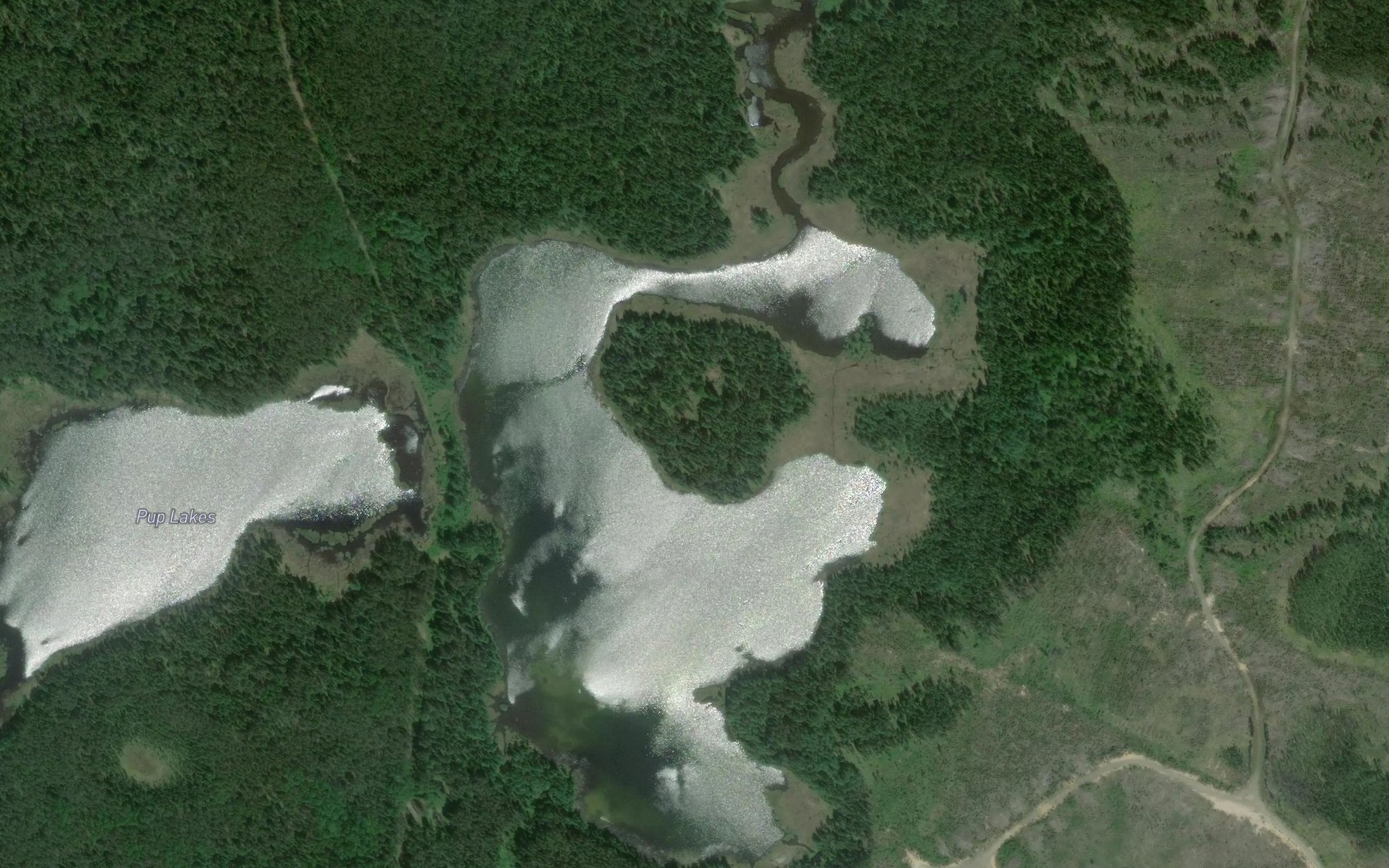 Satellite map of the Pup Lakes