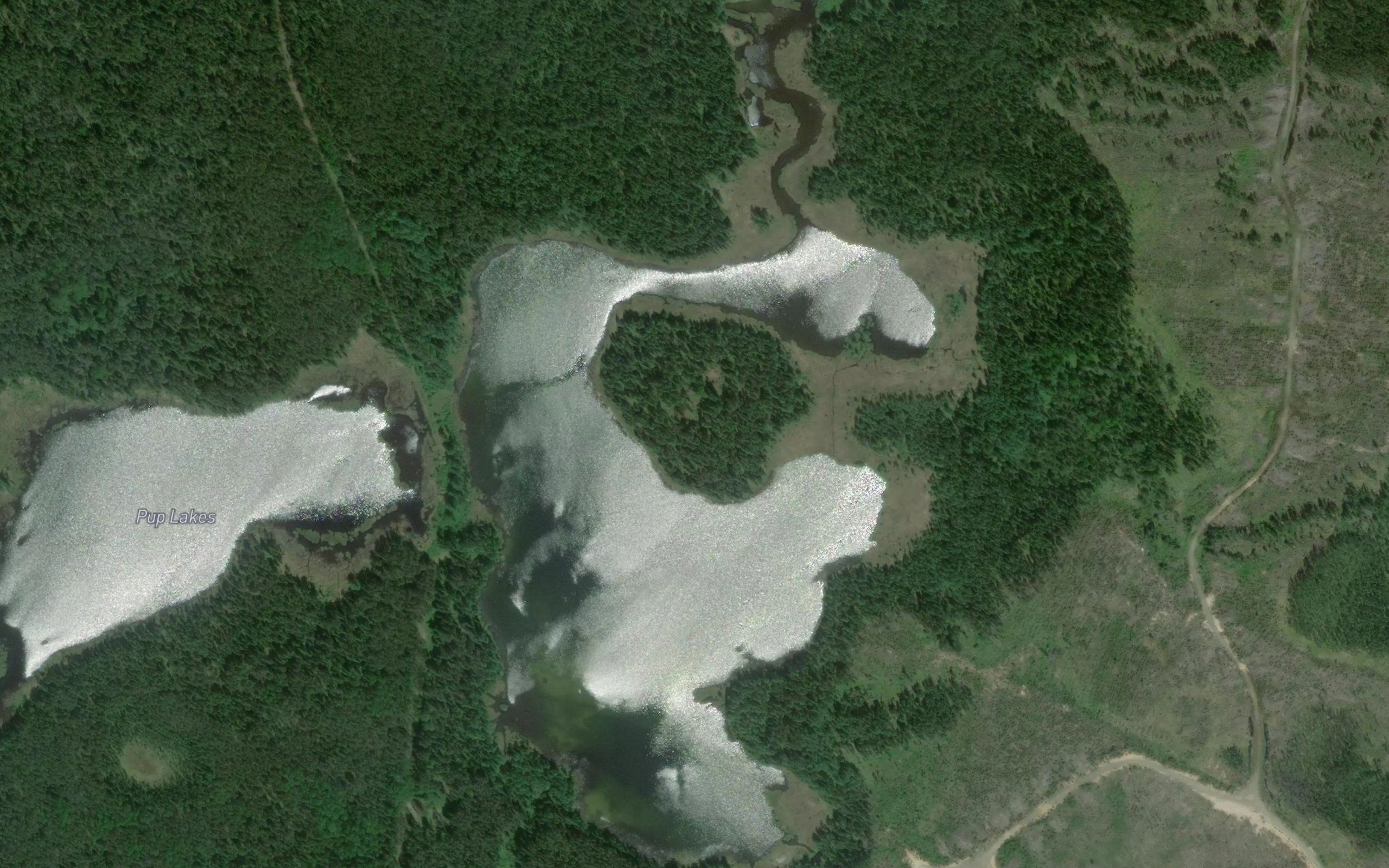 Pup Lakes