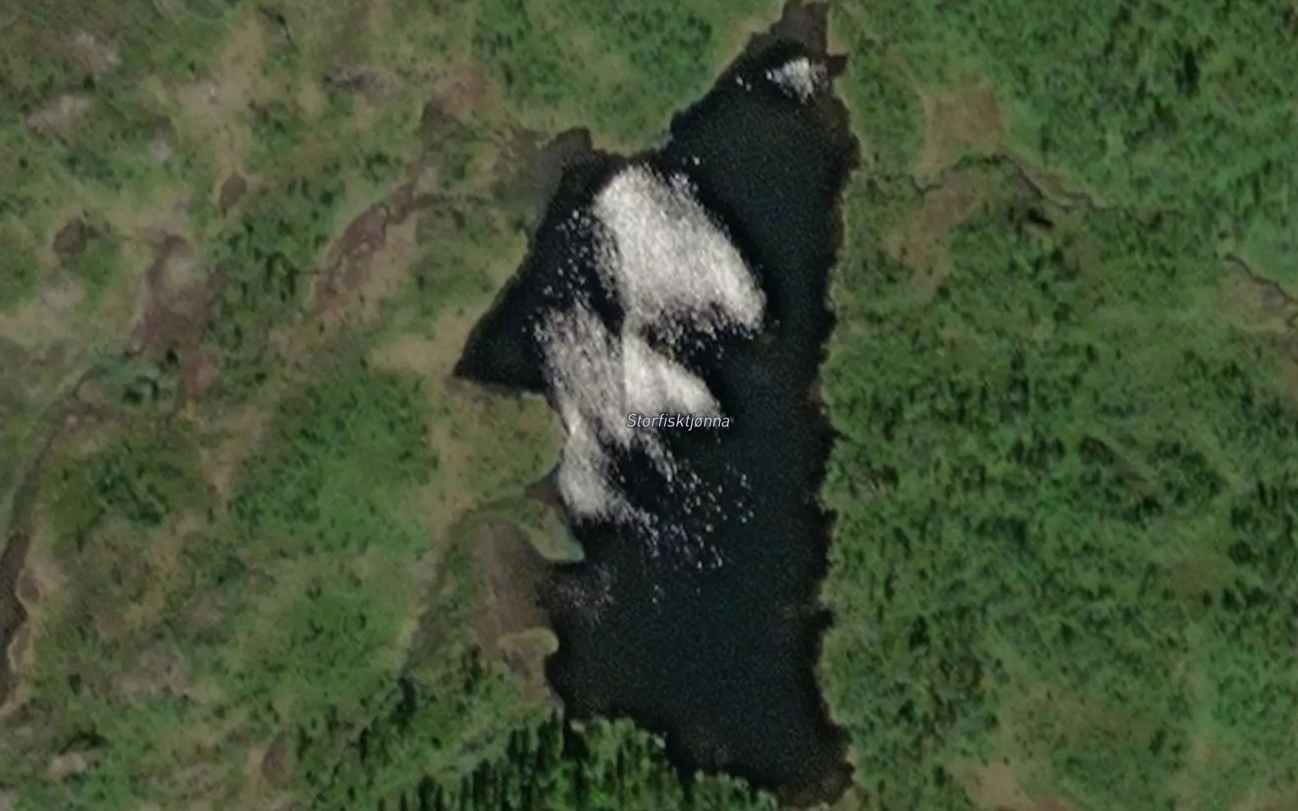 Storfisktjorna
