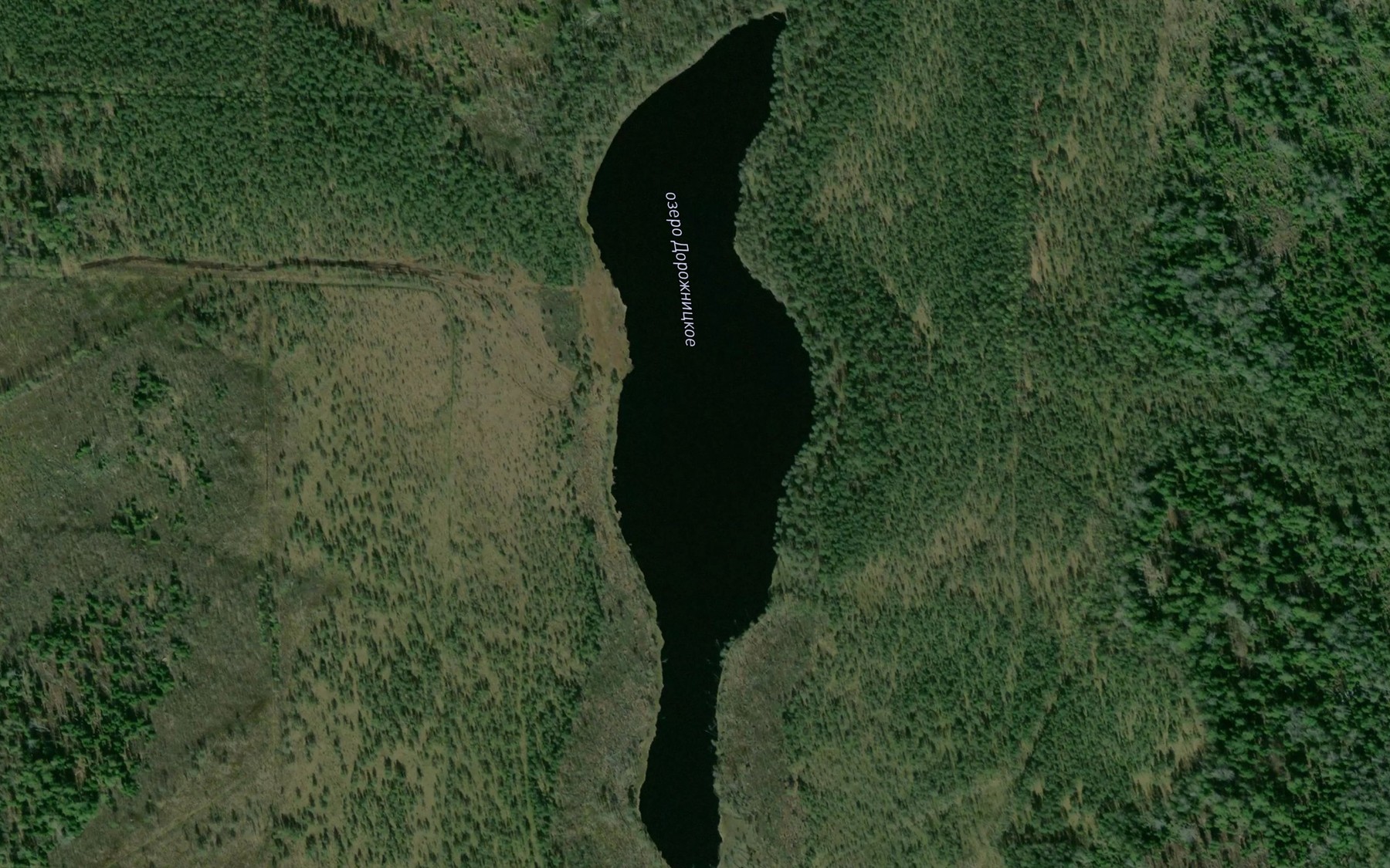 Satellite map of the Ozero Dorozhnitskoye