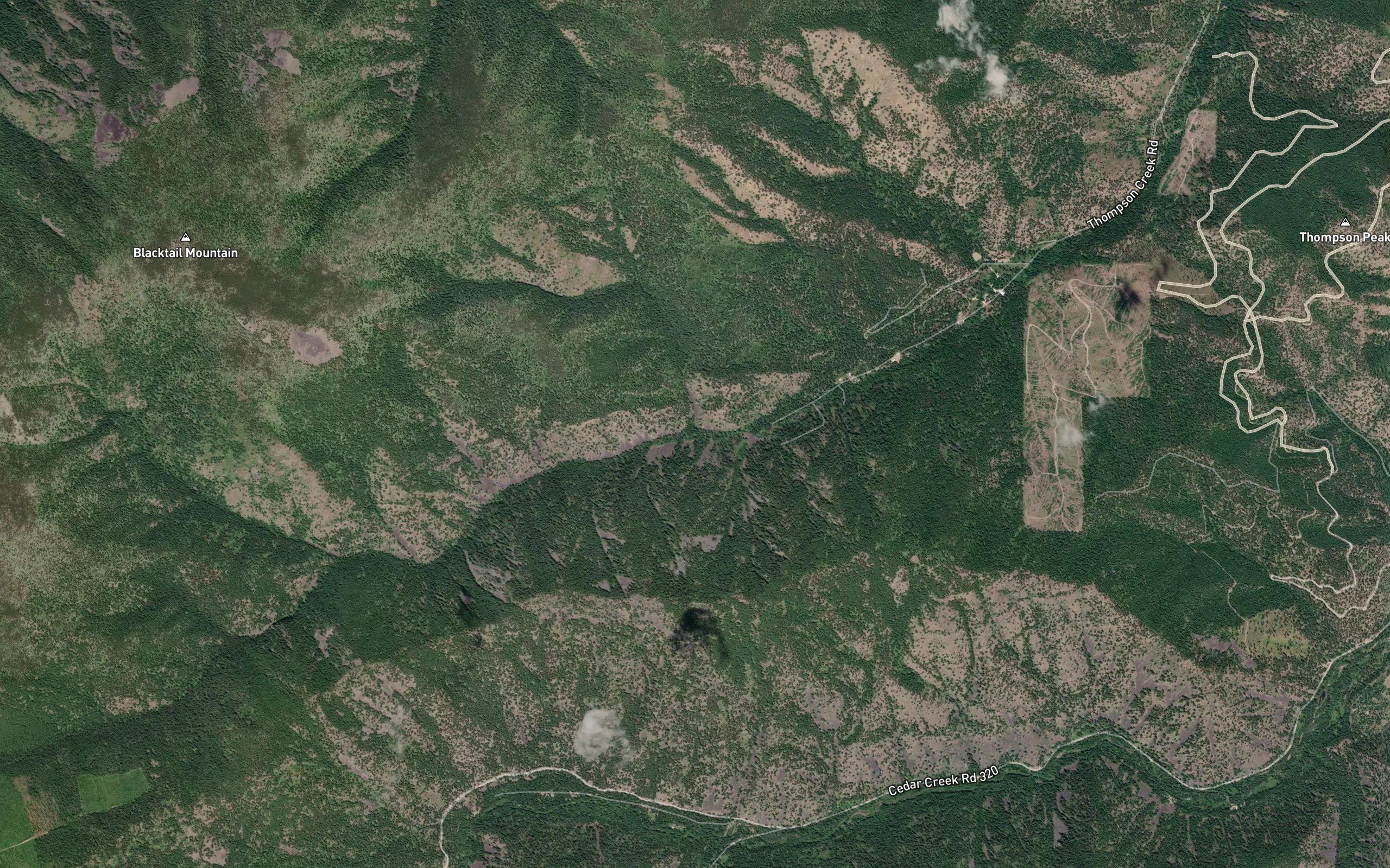 Blacktail Creek