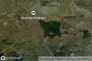 Skardtjorn