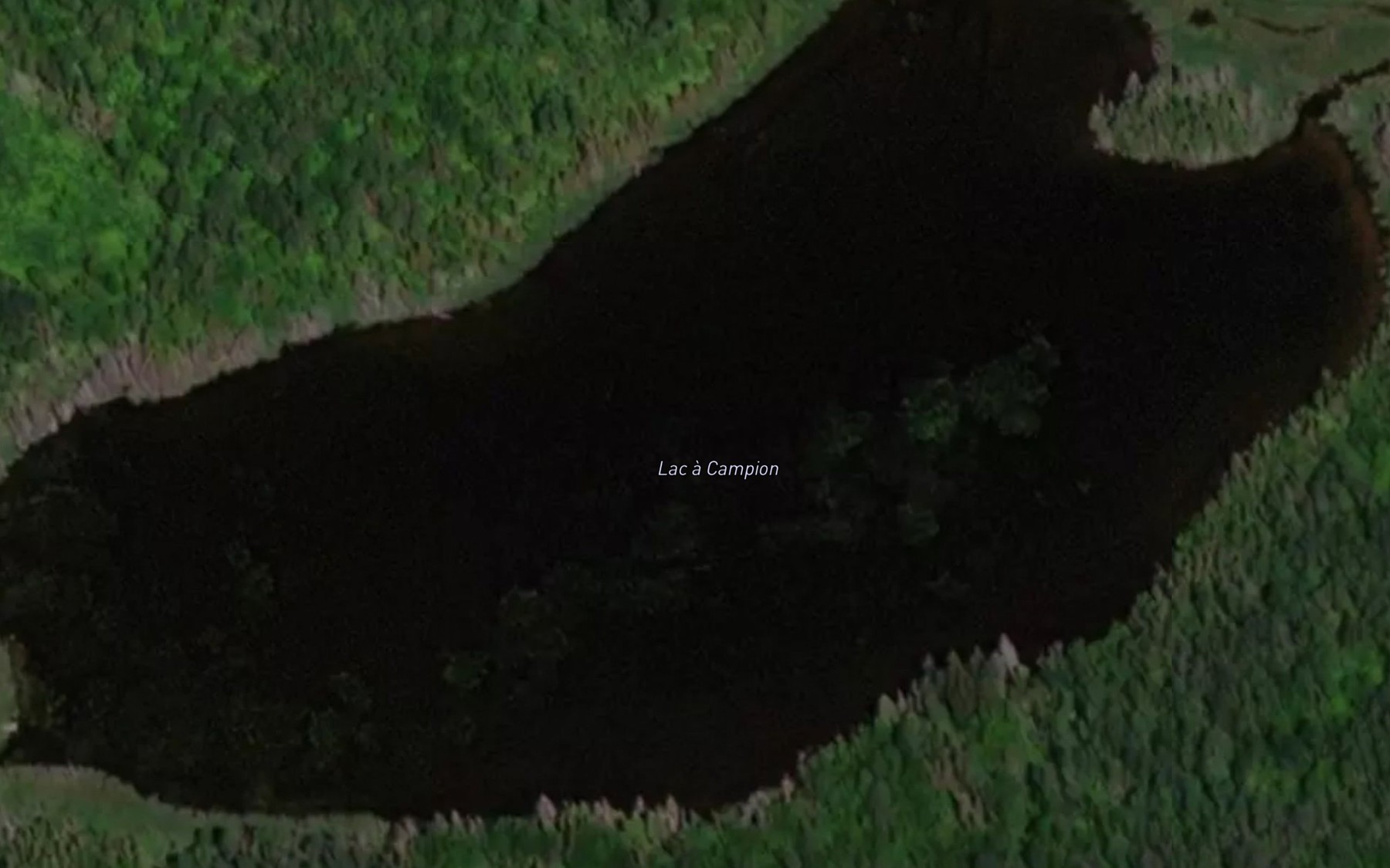 Satellite map of the Lac a Campion