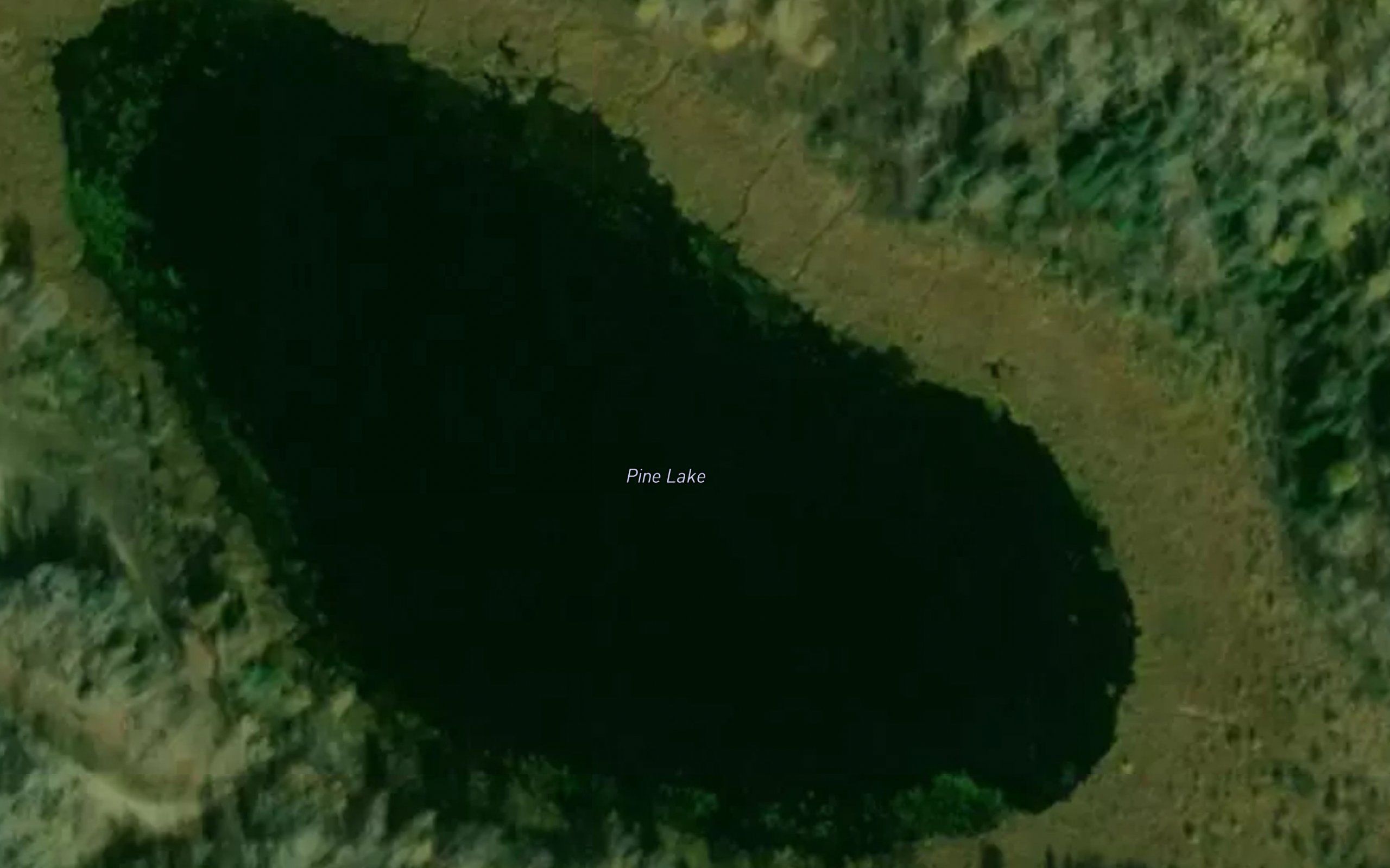 Pine Lake