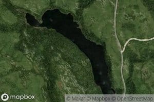 Lac Racoon