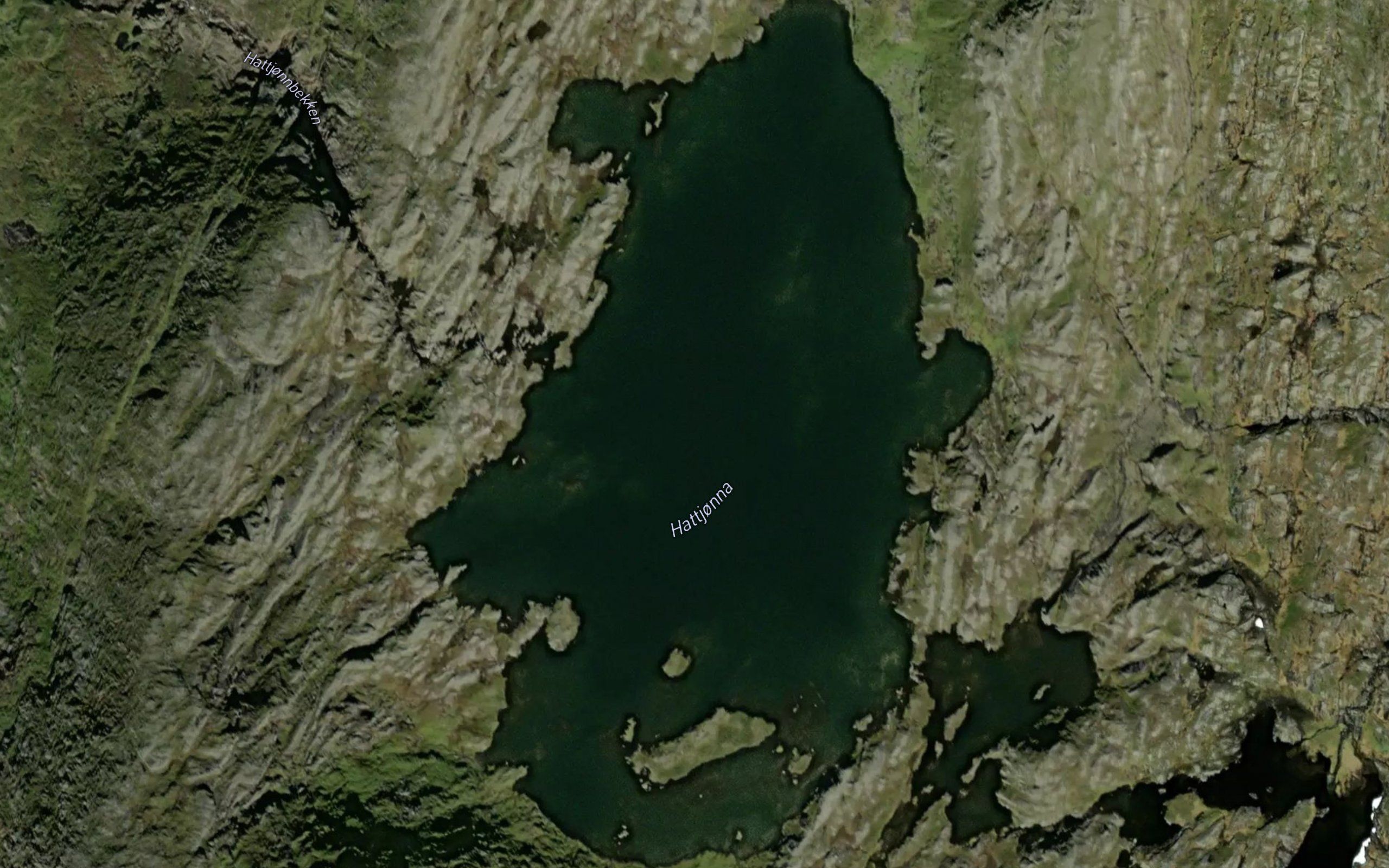 Hattjorna