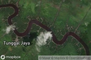 Sungai Bunga Setangkai