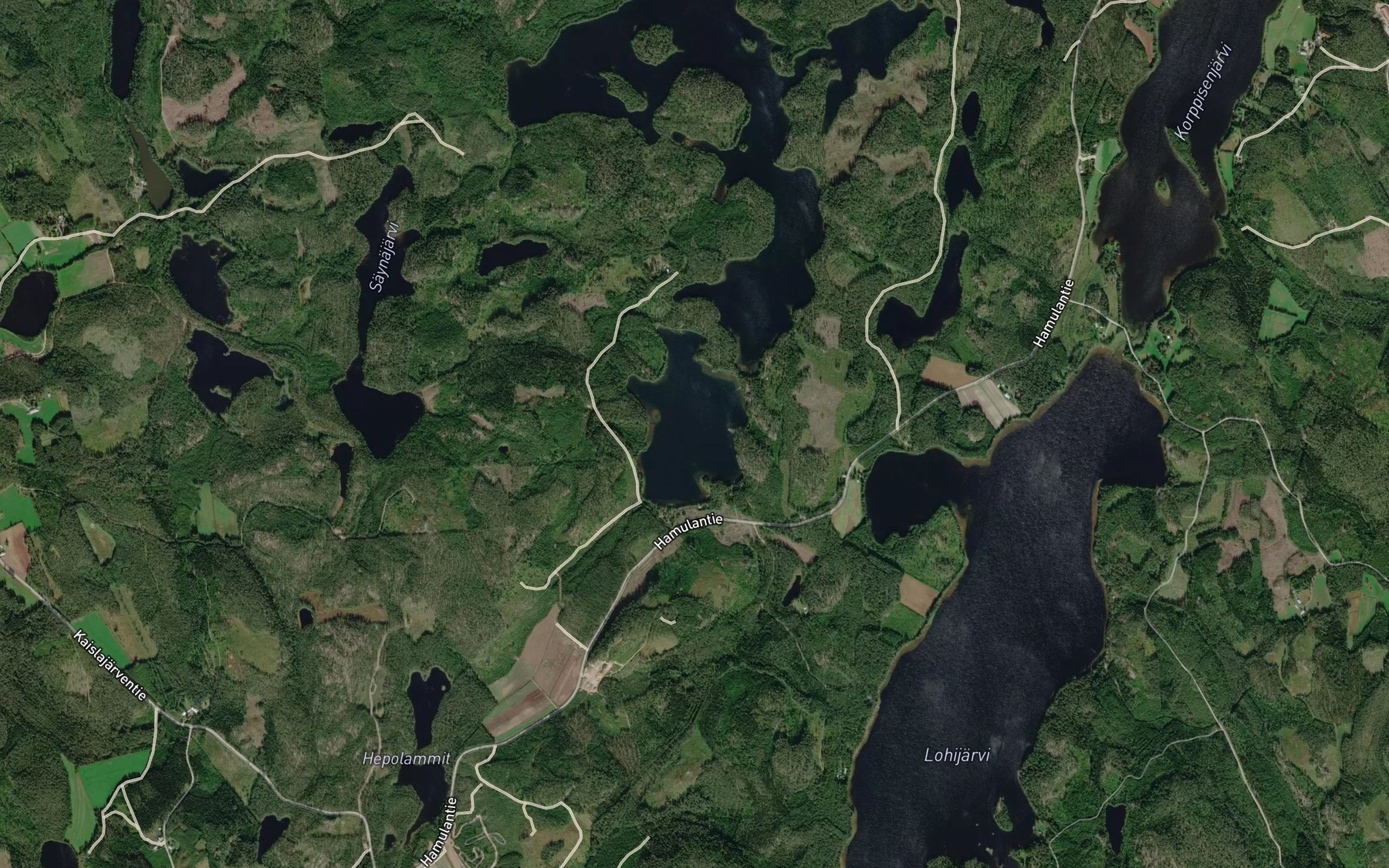 Satellite map of the Pieni Ruokojarvi