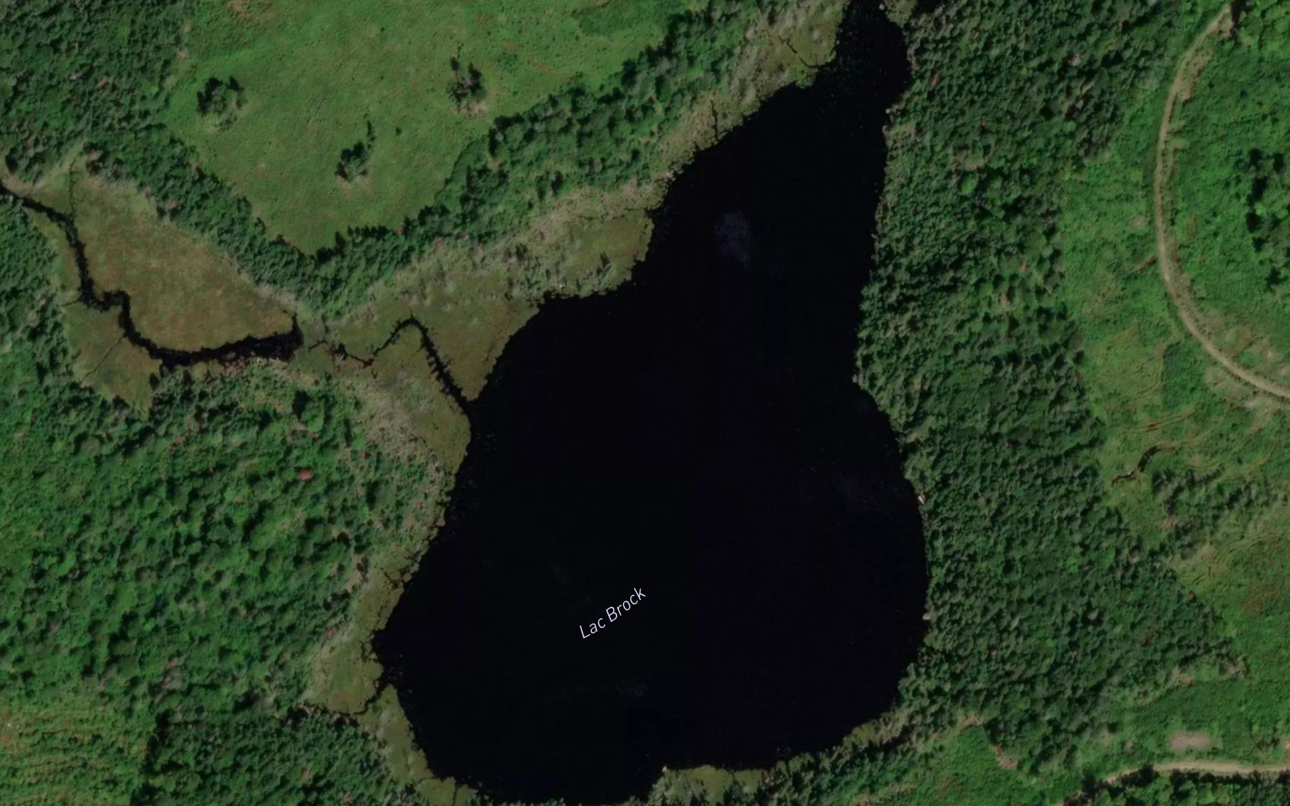 Lac Brock