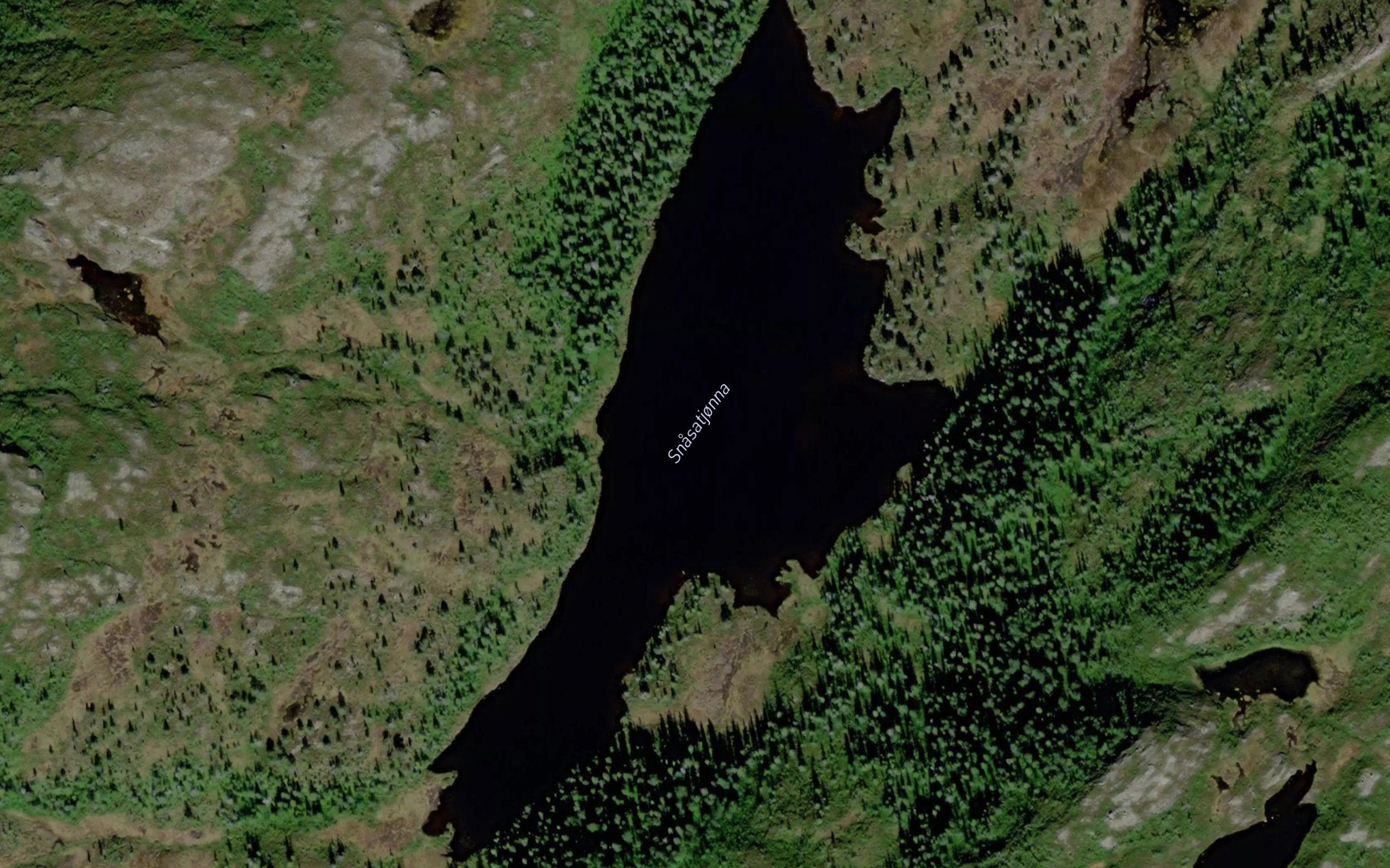 Snasatjonna