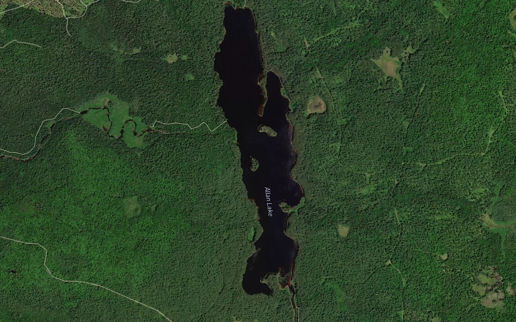Satellite map of the Allan Lake