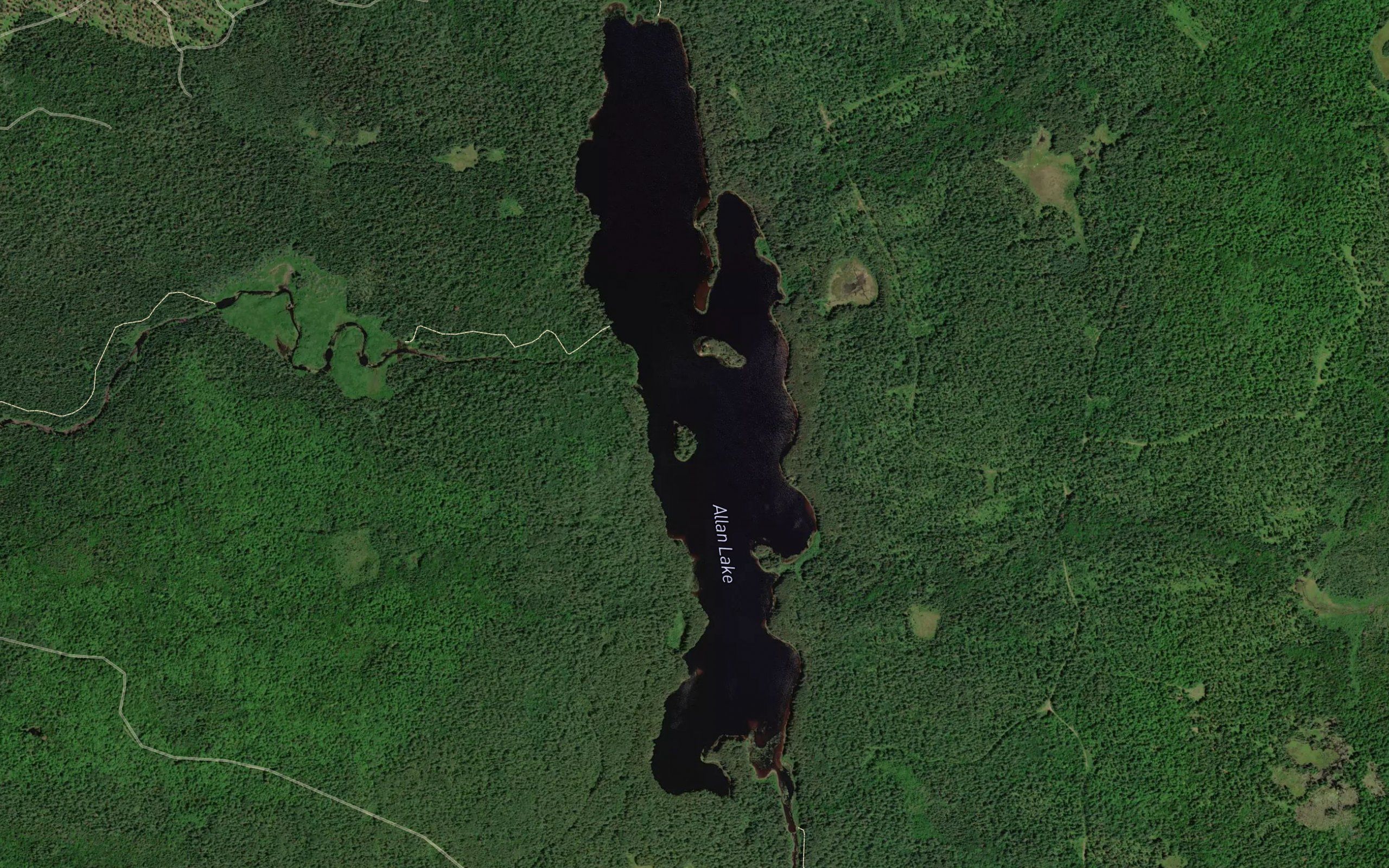 Allan Lake