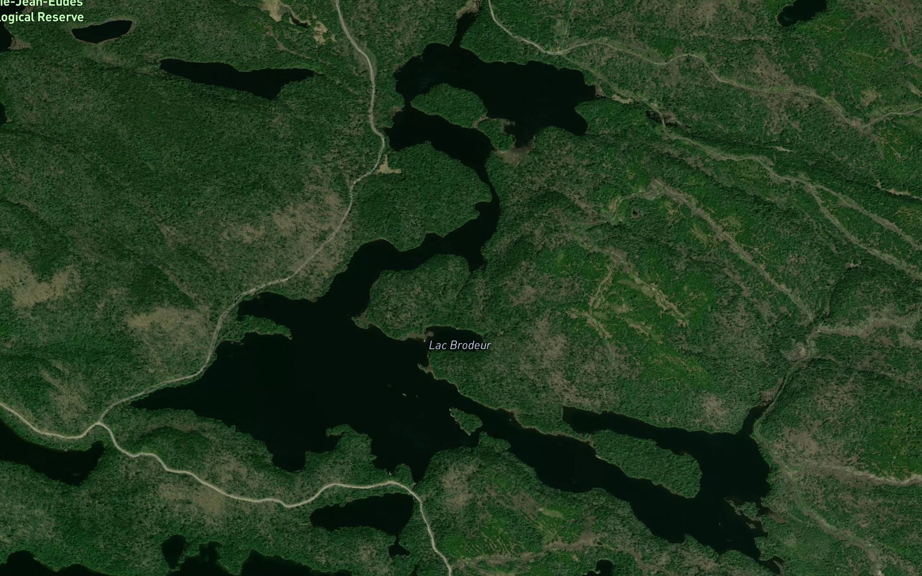 Satellite map of the Lac Brodeur