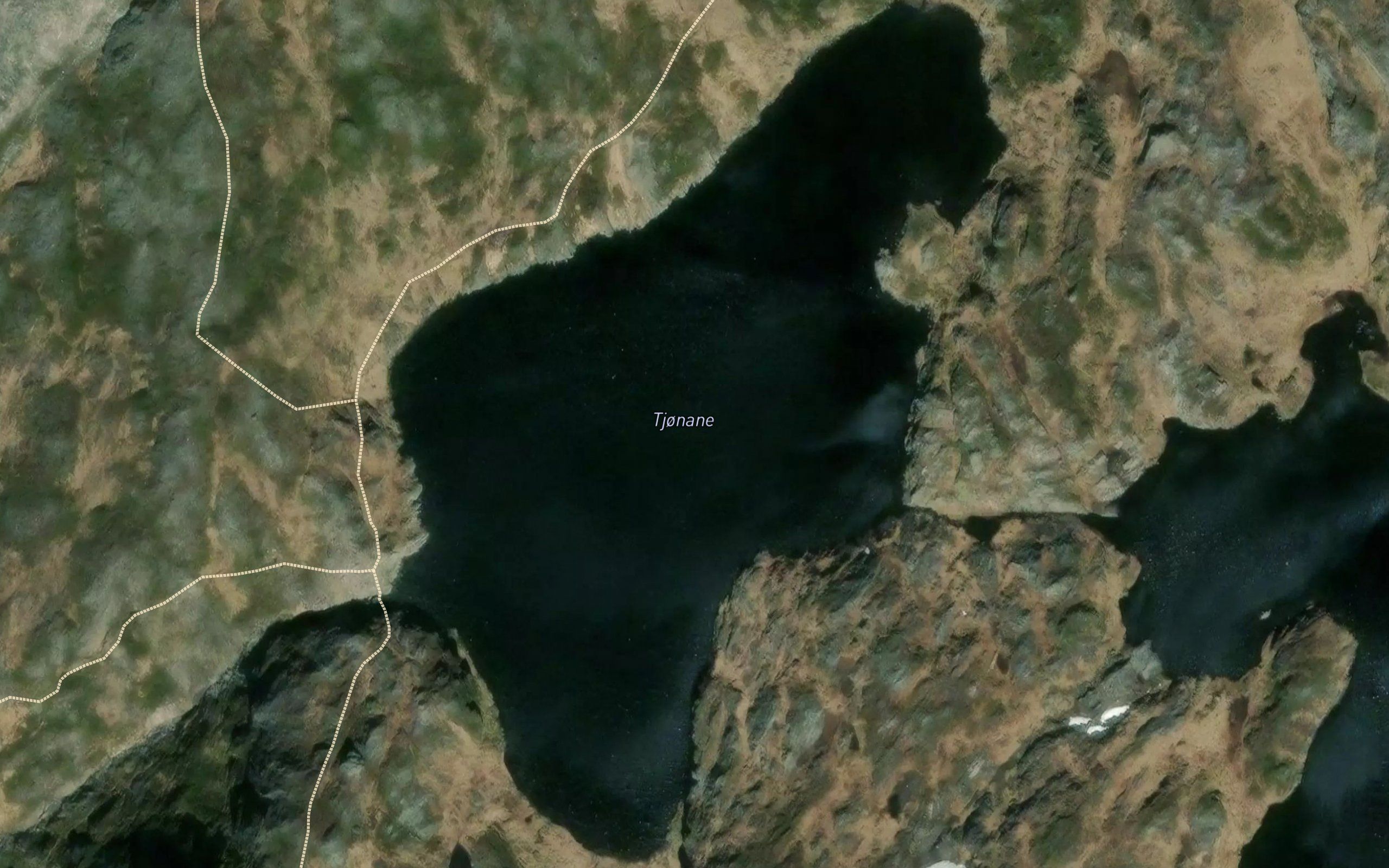 Tjornane
