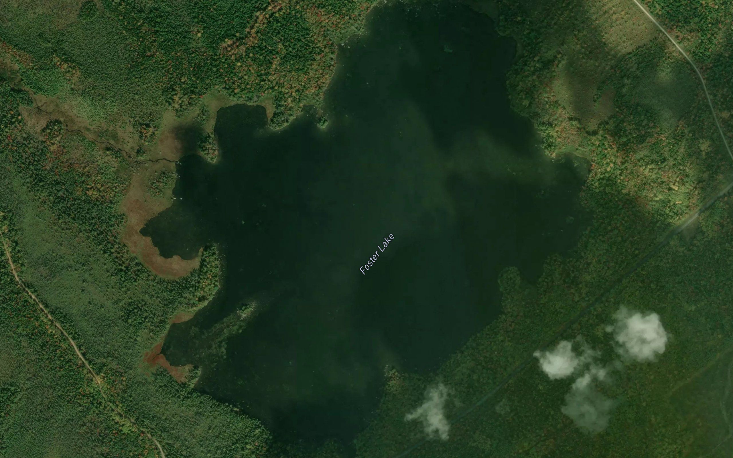 Foster Lake