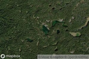 Copepod Lake