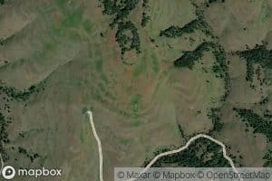 Fir Point Spring