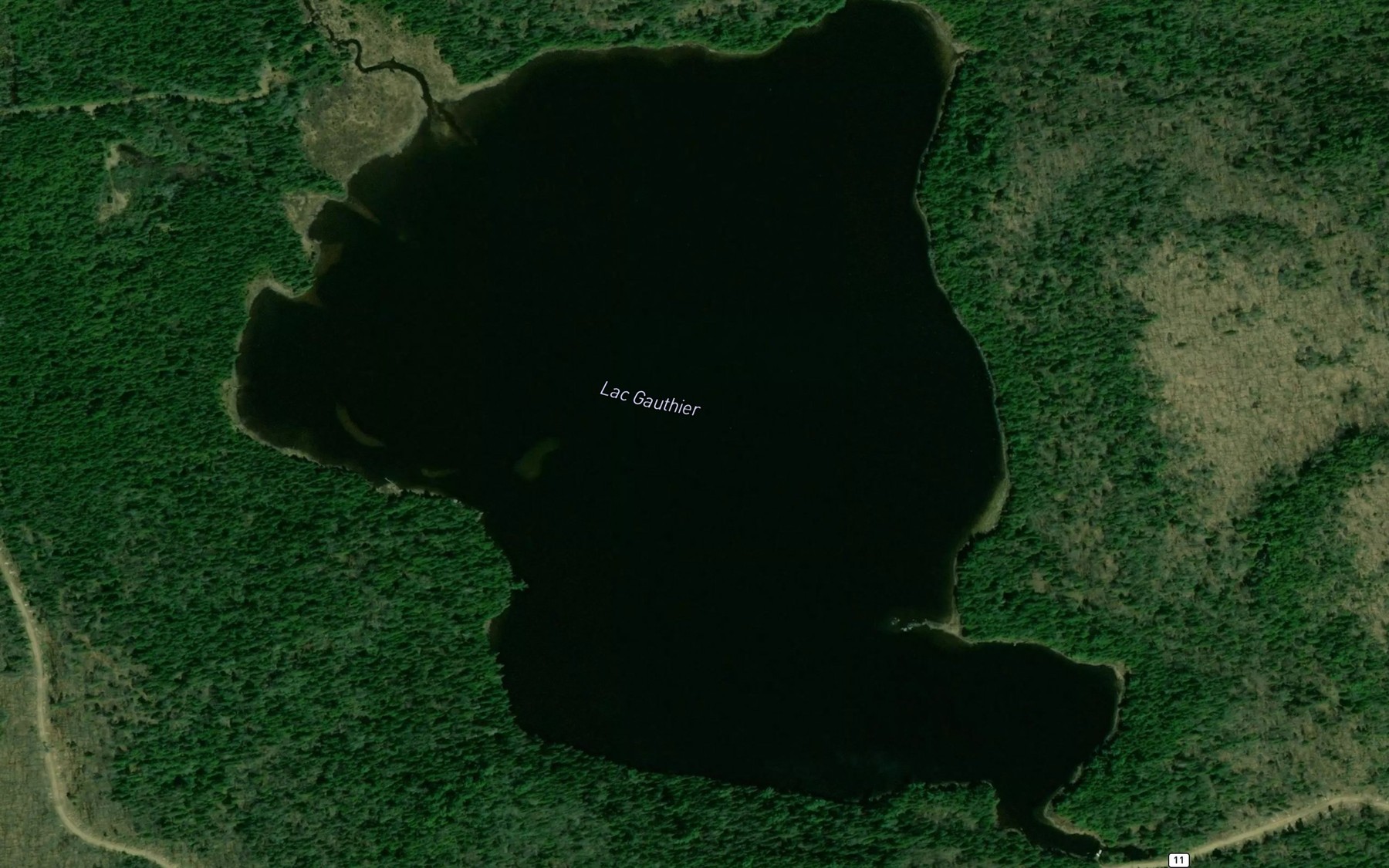 Satellite map of the Lac Gauthier