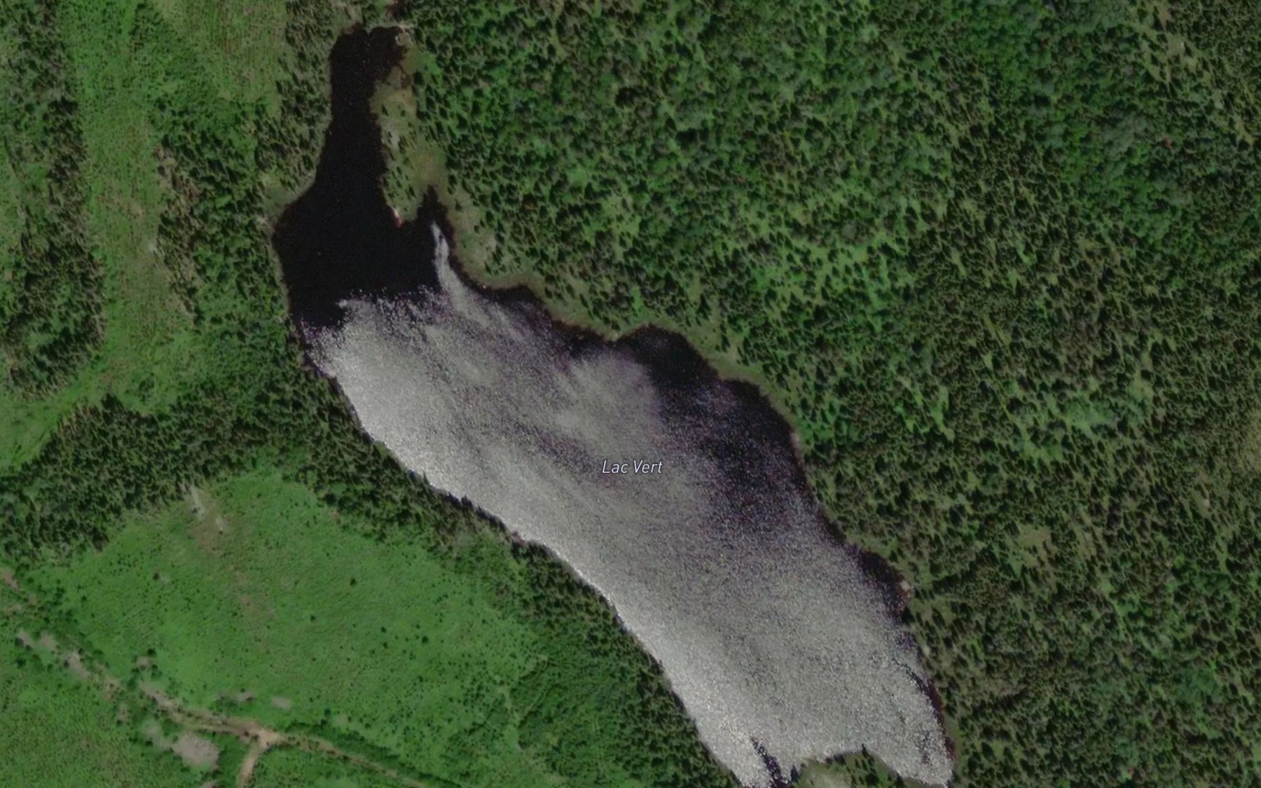Satellite map of the Lac Vert