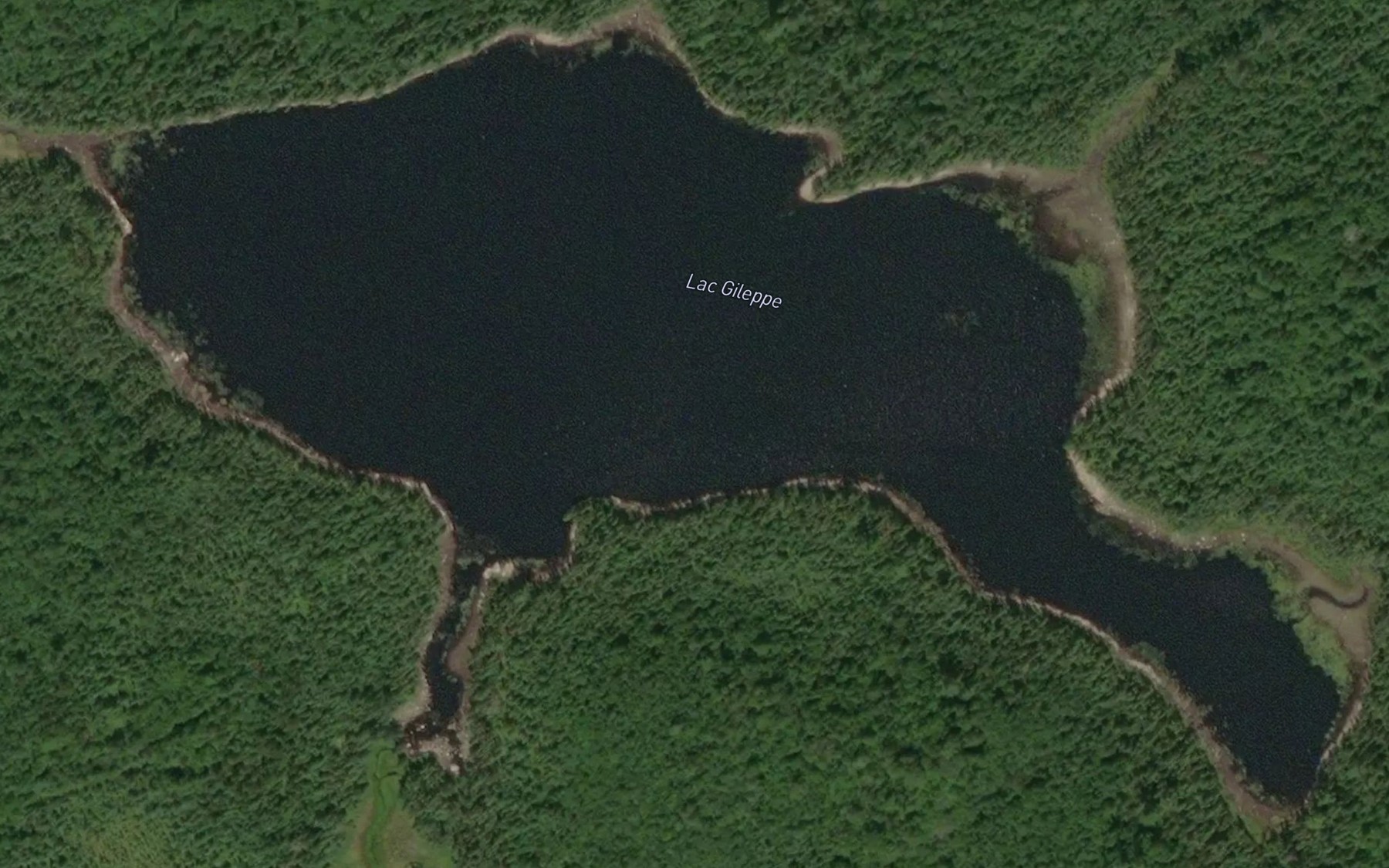 Satellite map of the Lac Gileppe