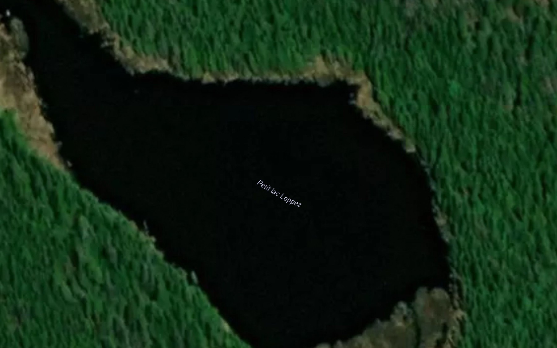 Satellite map of the Petit lac Loppez