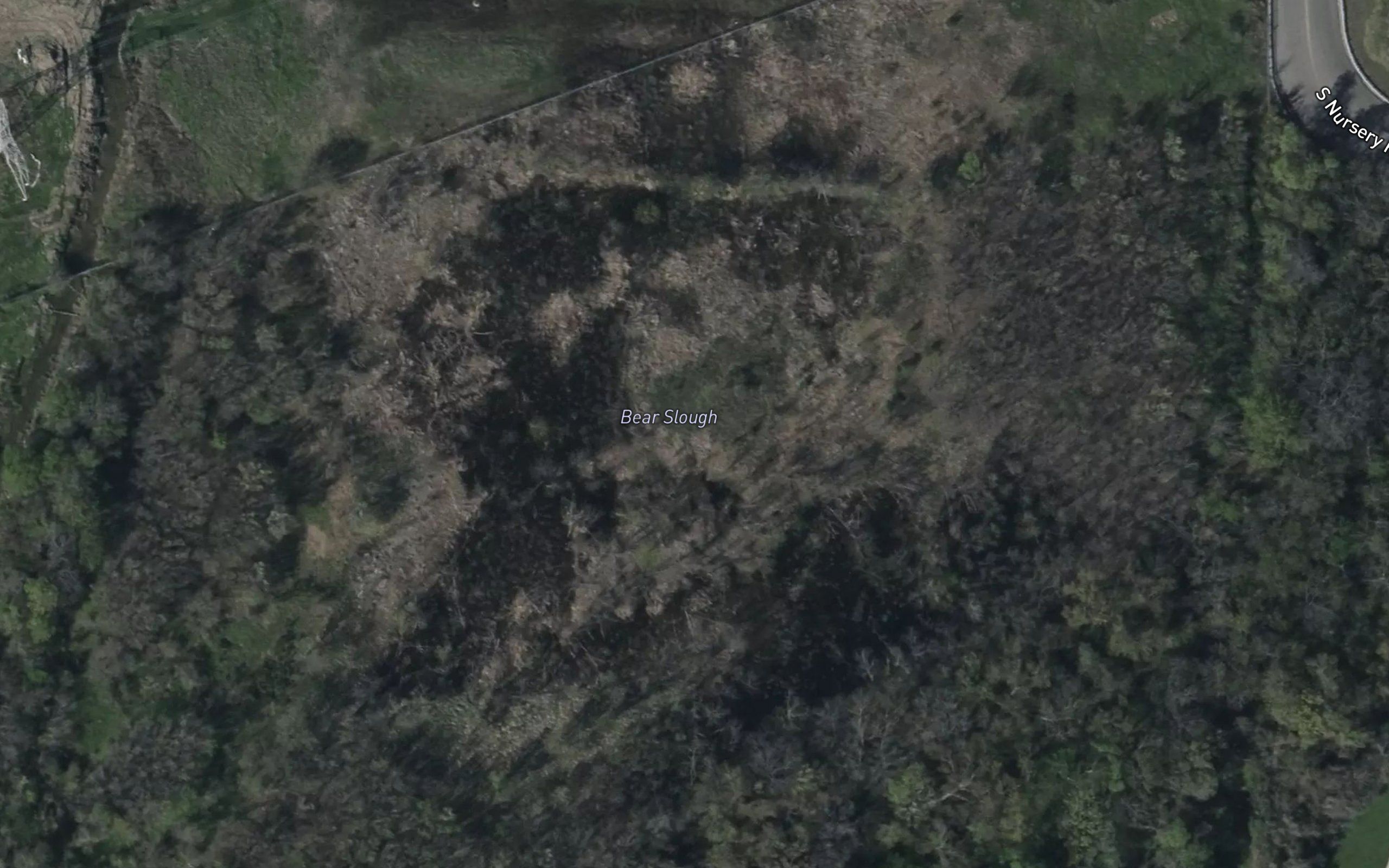Bear Slough