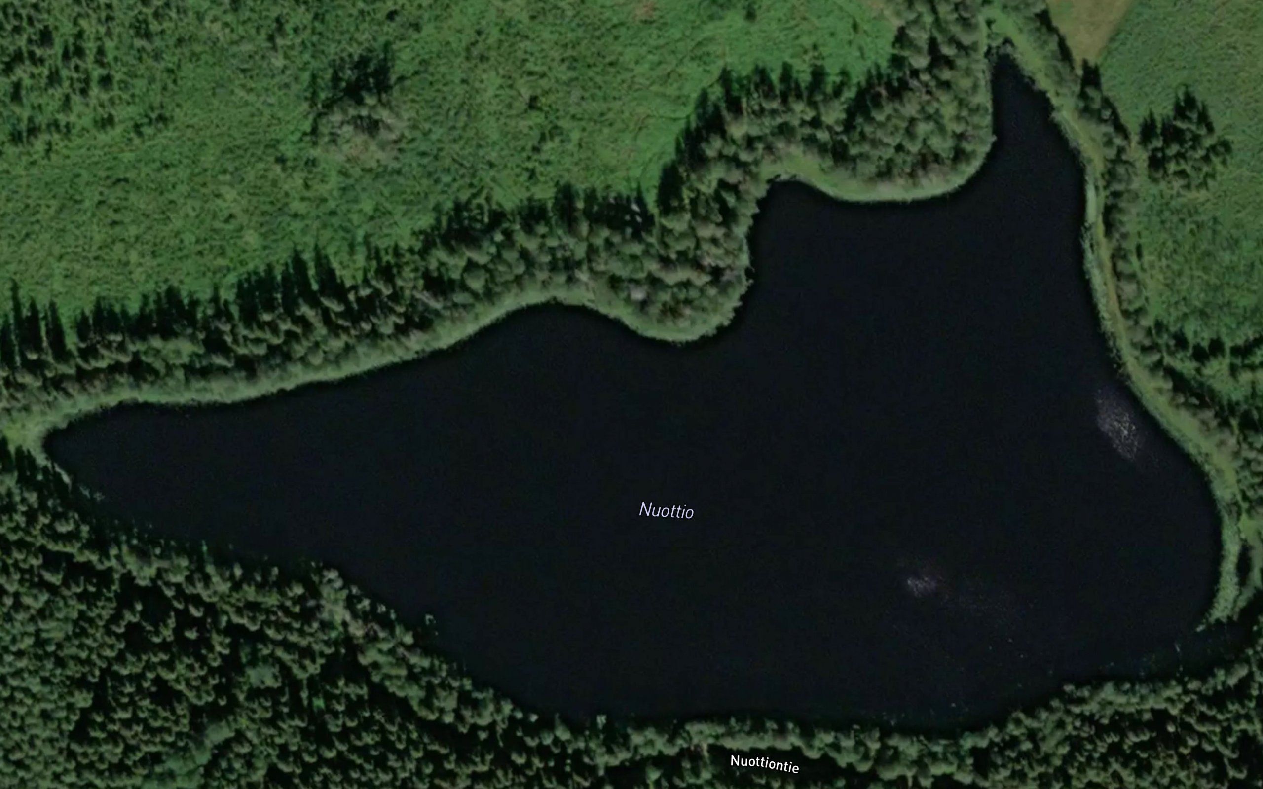Nuottio