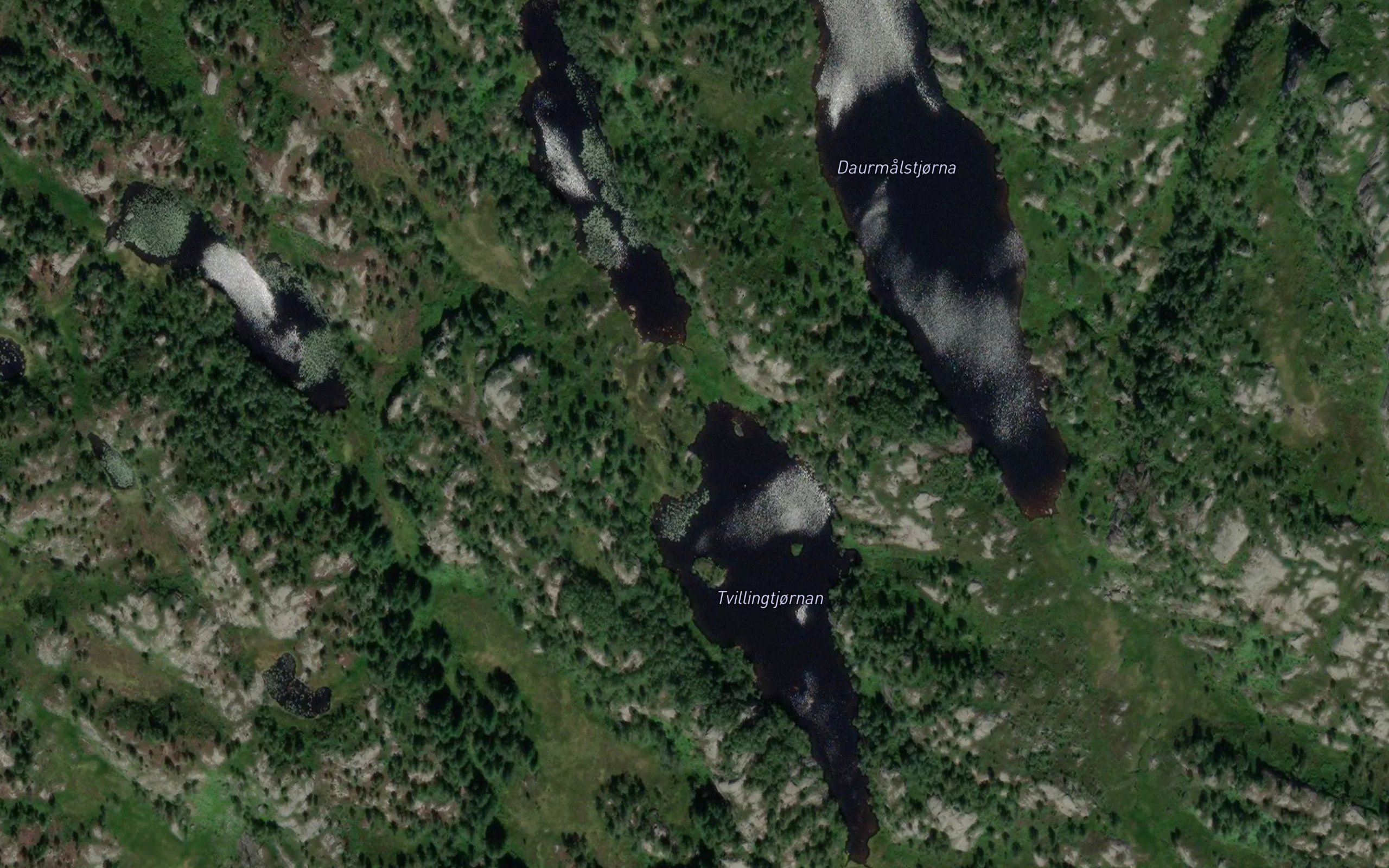 Tvillingtjornan