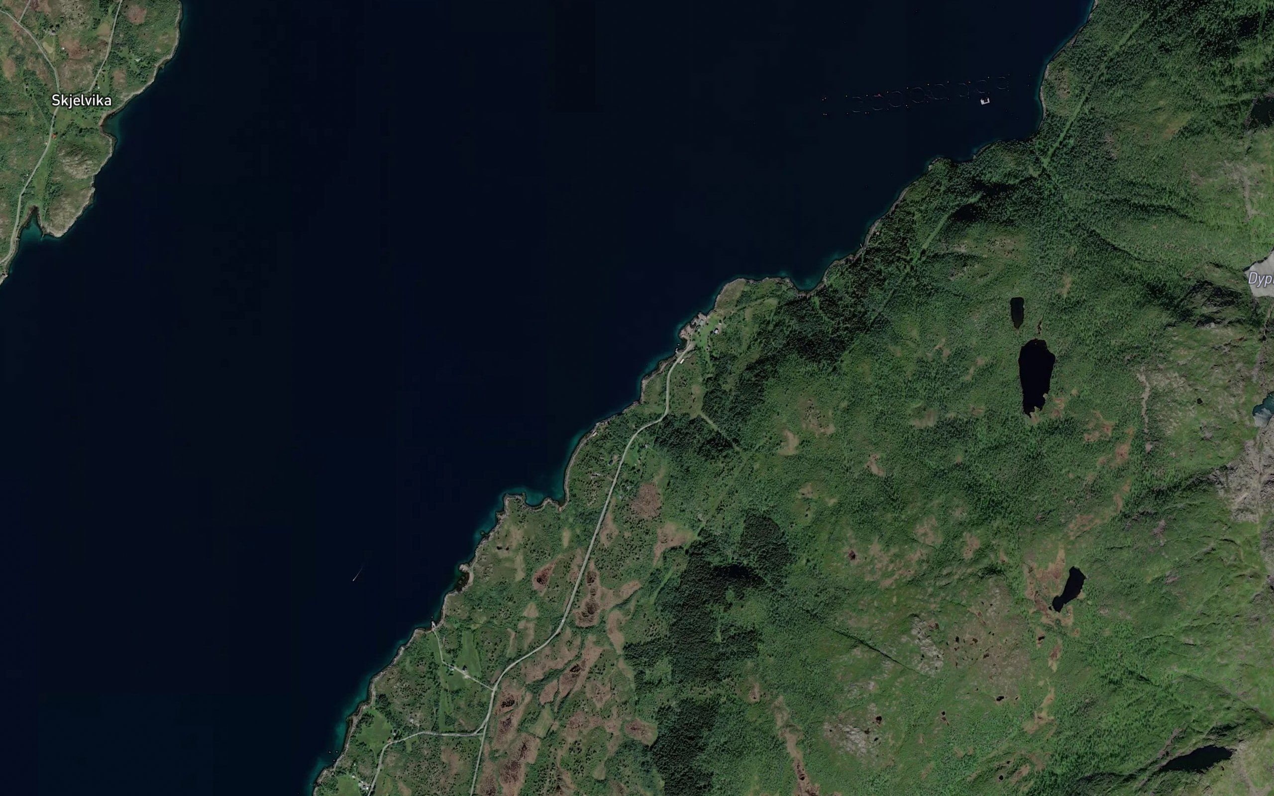 Lappgammvika