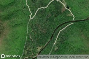 Forest Glen Brook