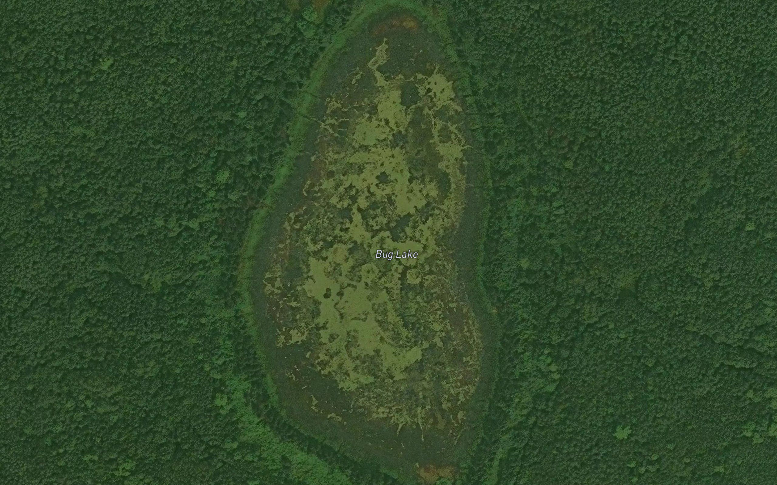 Bug Lake