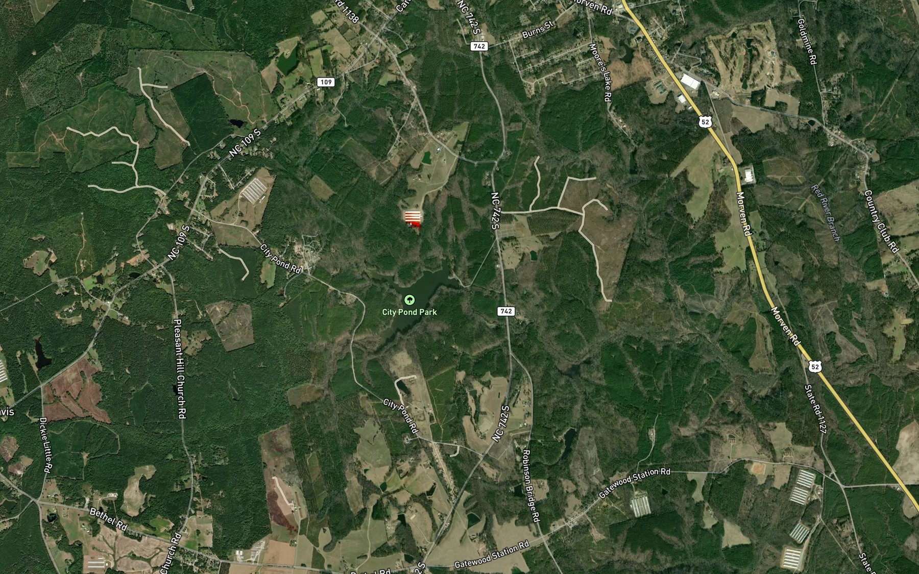 Satellite map of the City Pond